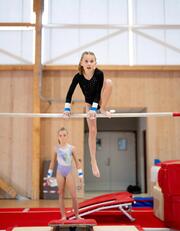 Gimnastică