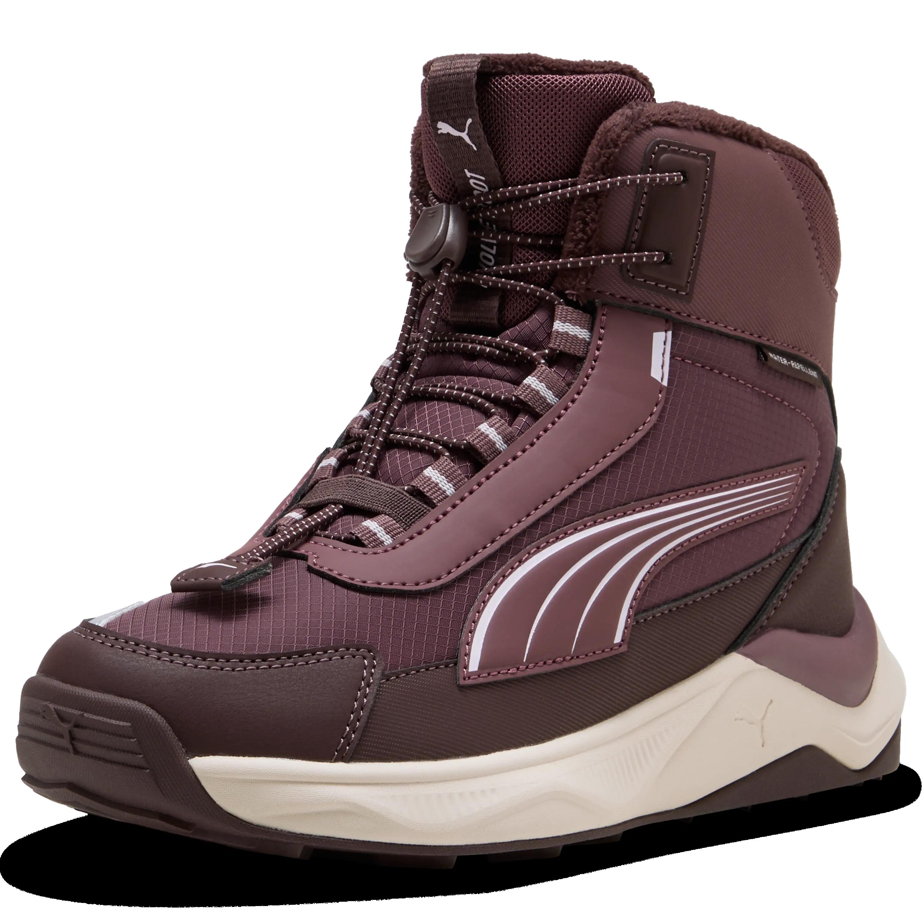 PUMA picture