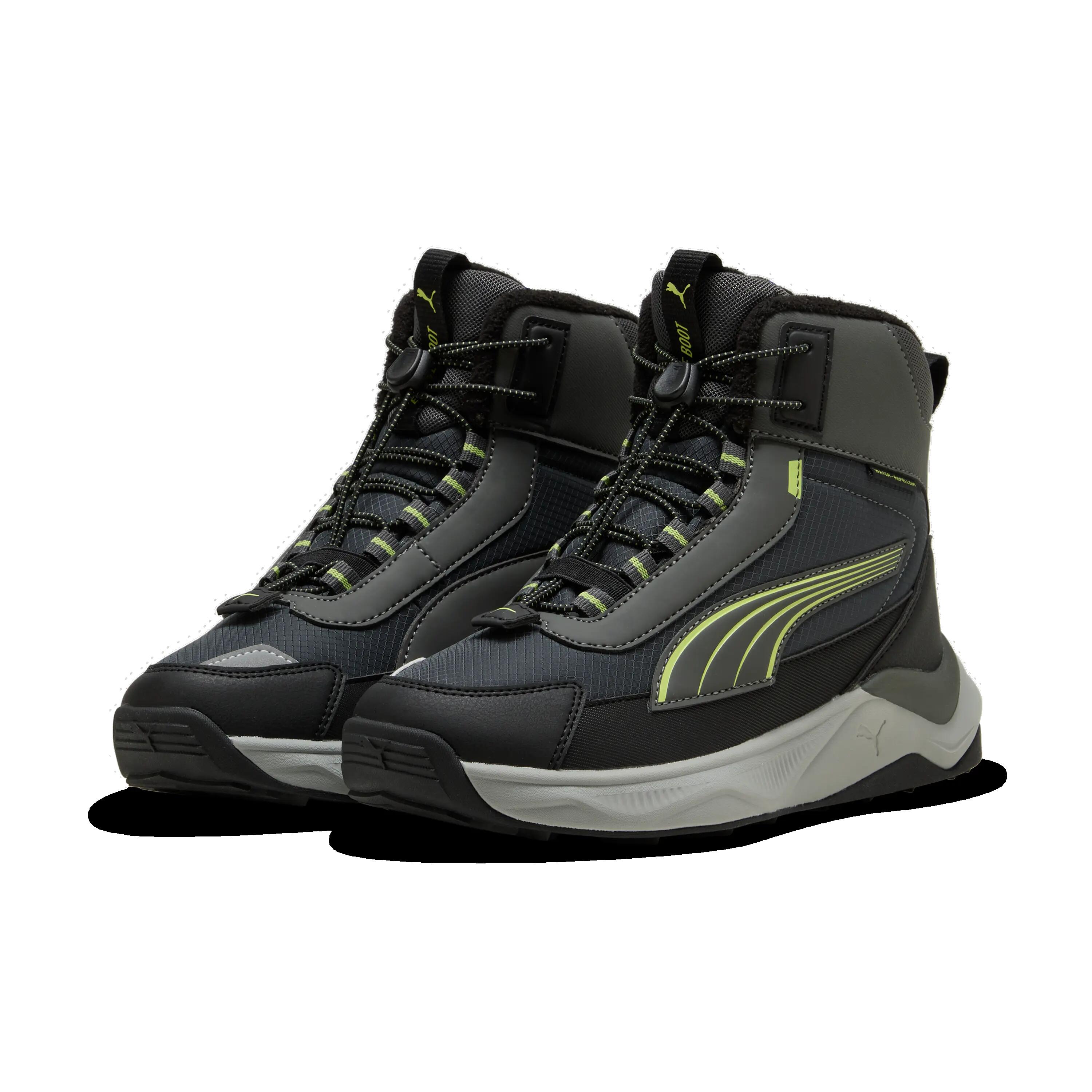 PUMA picture