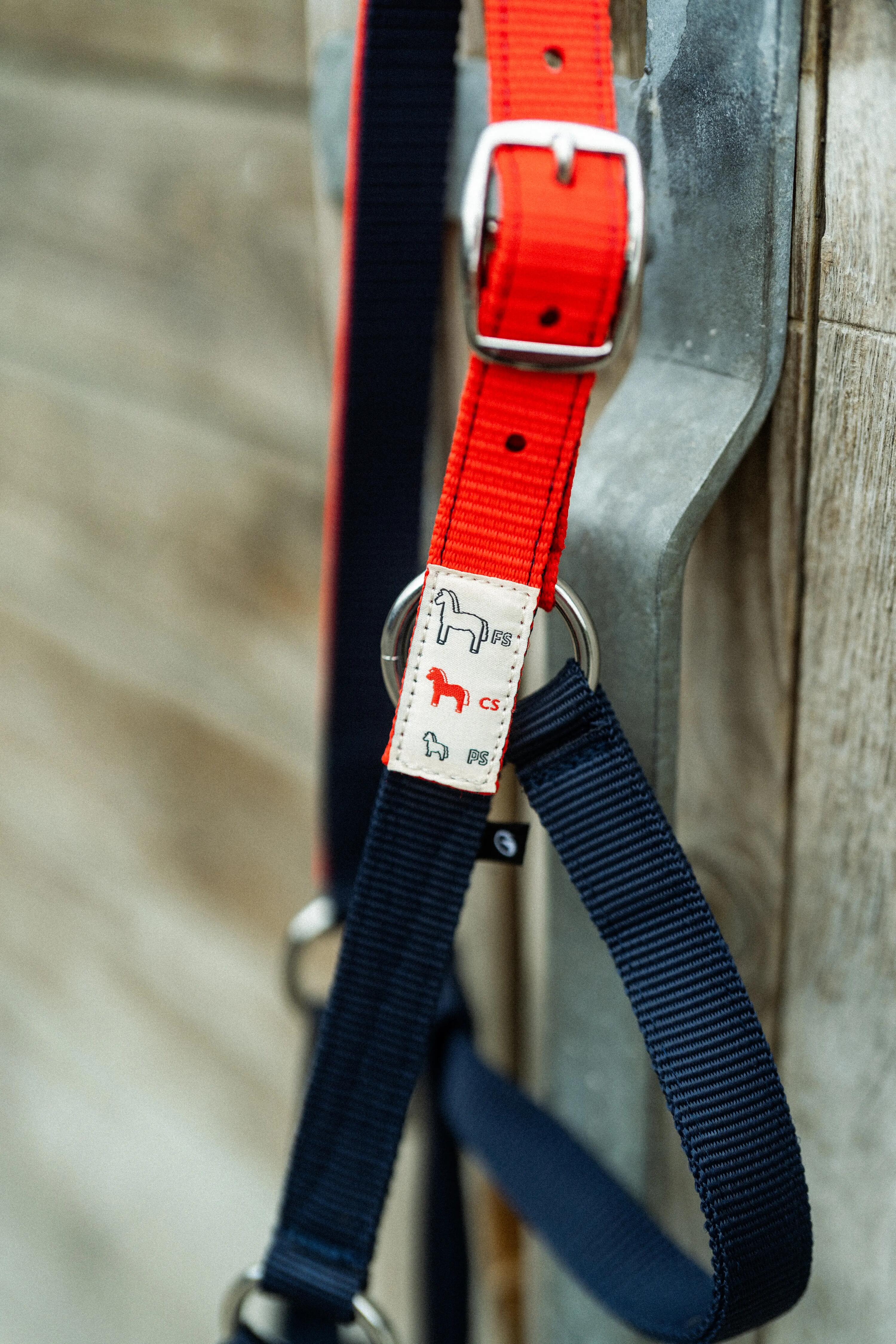Licol Izisafe éducatif cheval et poney - bleu rouge jaune 9/9