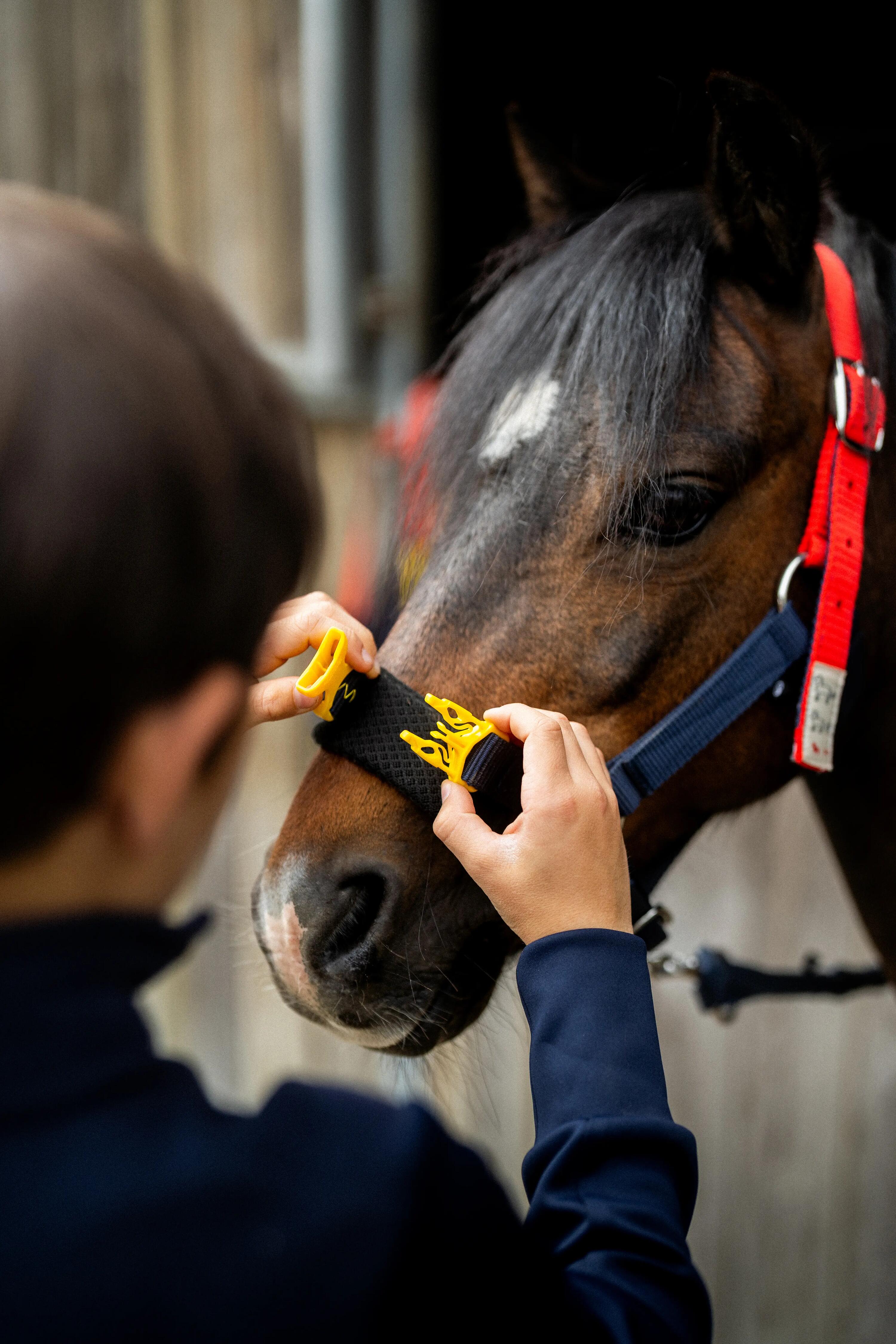 Licol Izisafe éducatif cheval et poney - bleu rouge jaune 7/9