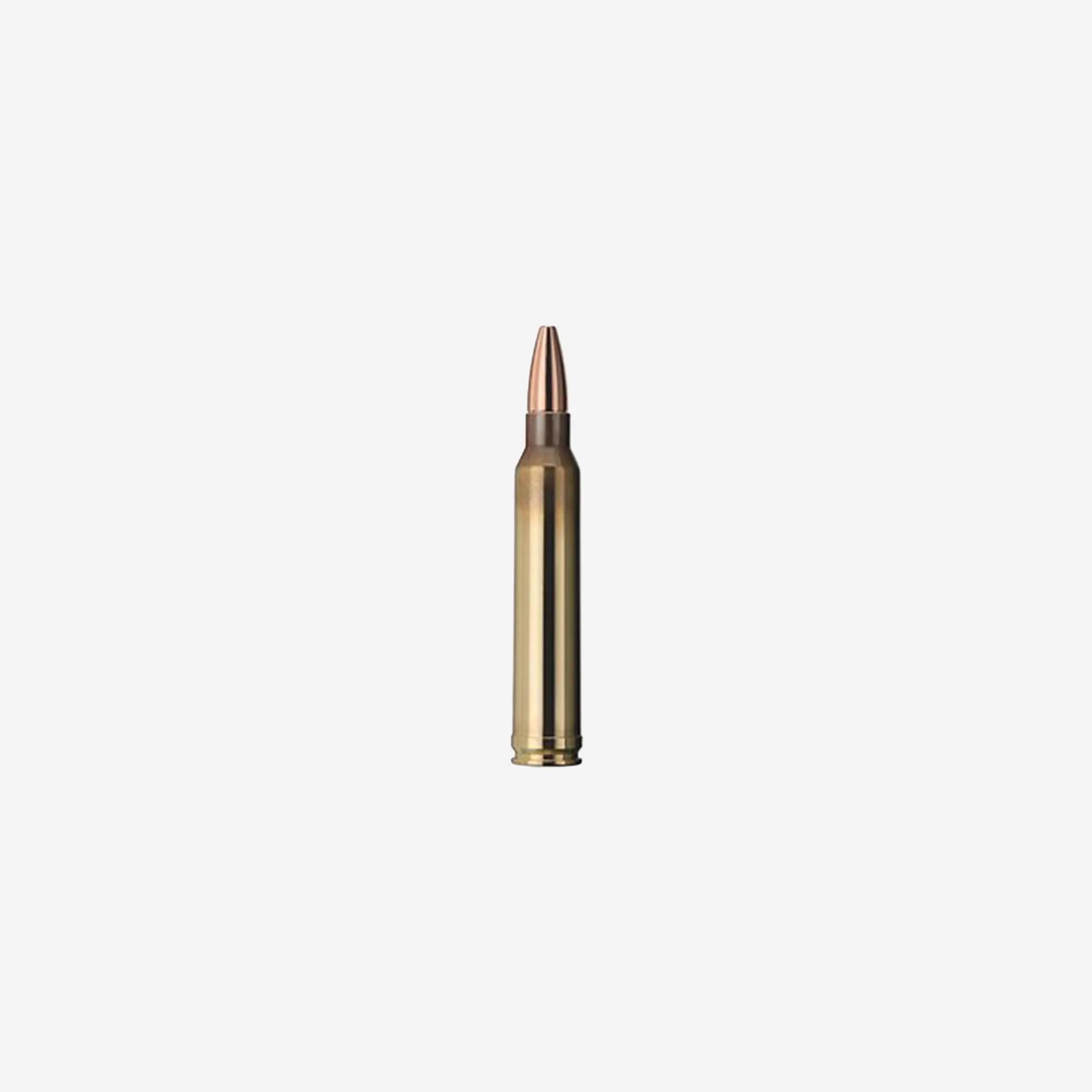 Balle Geco Soft Point .300 WIN MAG 170 grains / 11 grammes 2/2