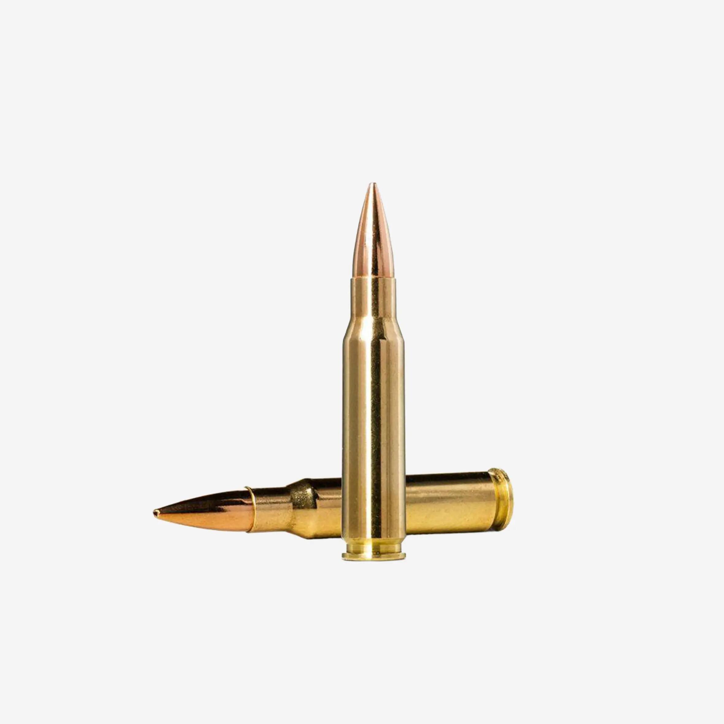 Balle Norma Goldent Target .308WIN 168 grains / 10,9 grammes 2/2