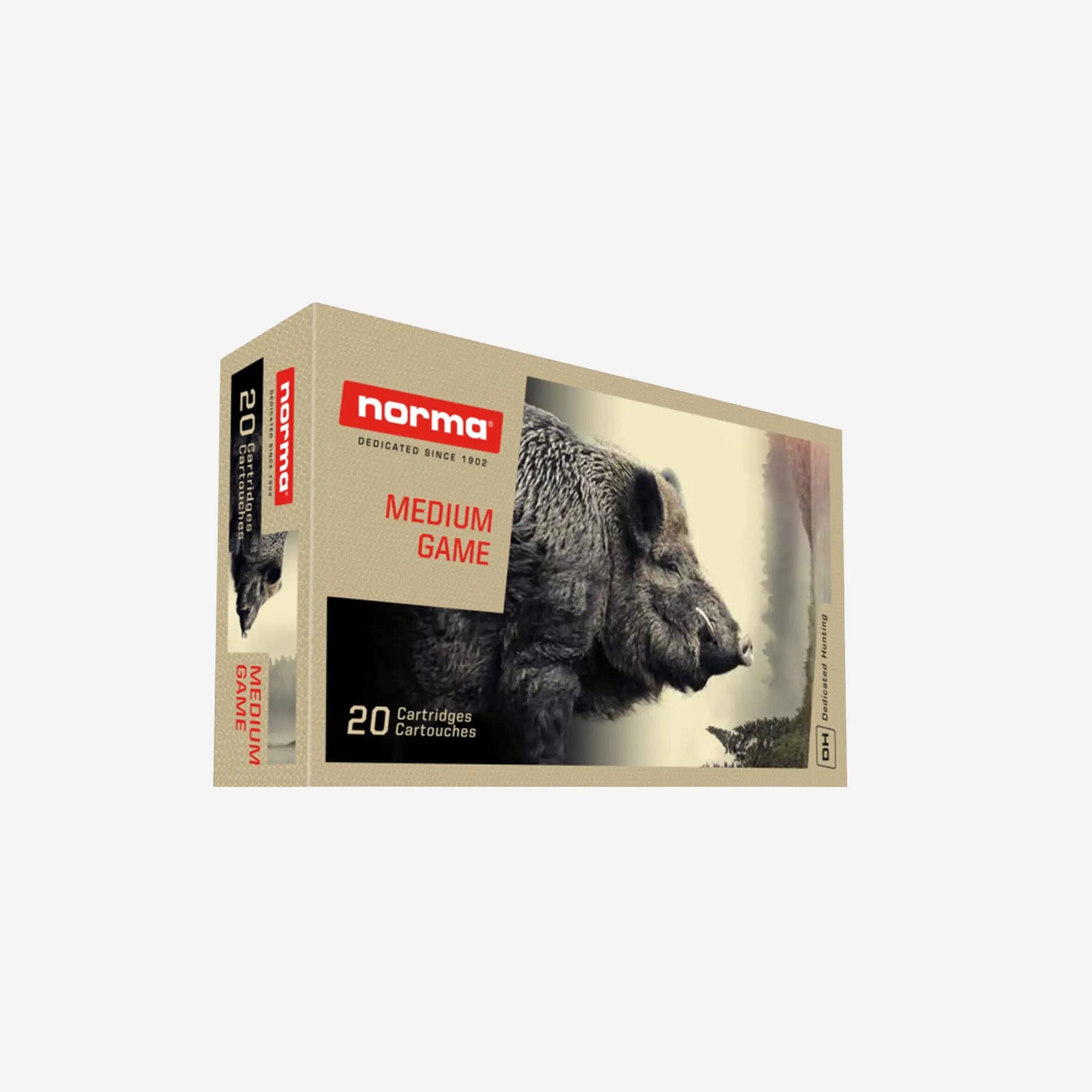 NORMA picture