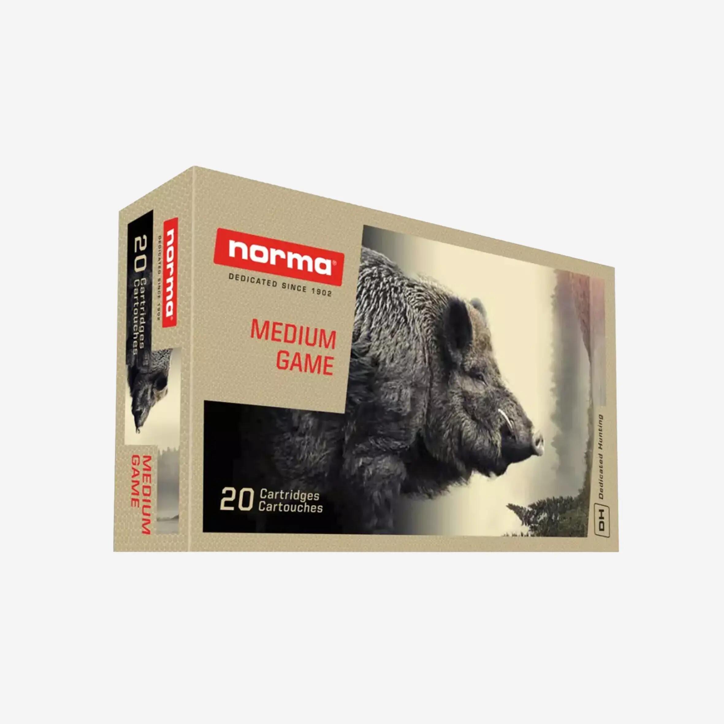 NORMA picture