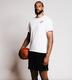 damien basket