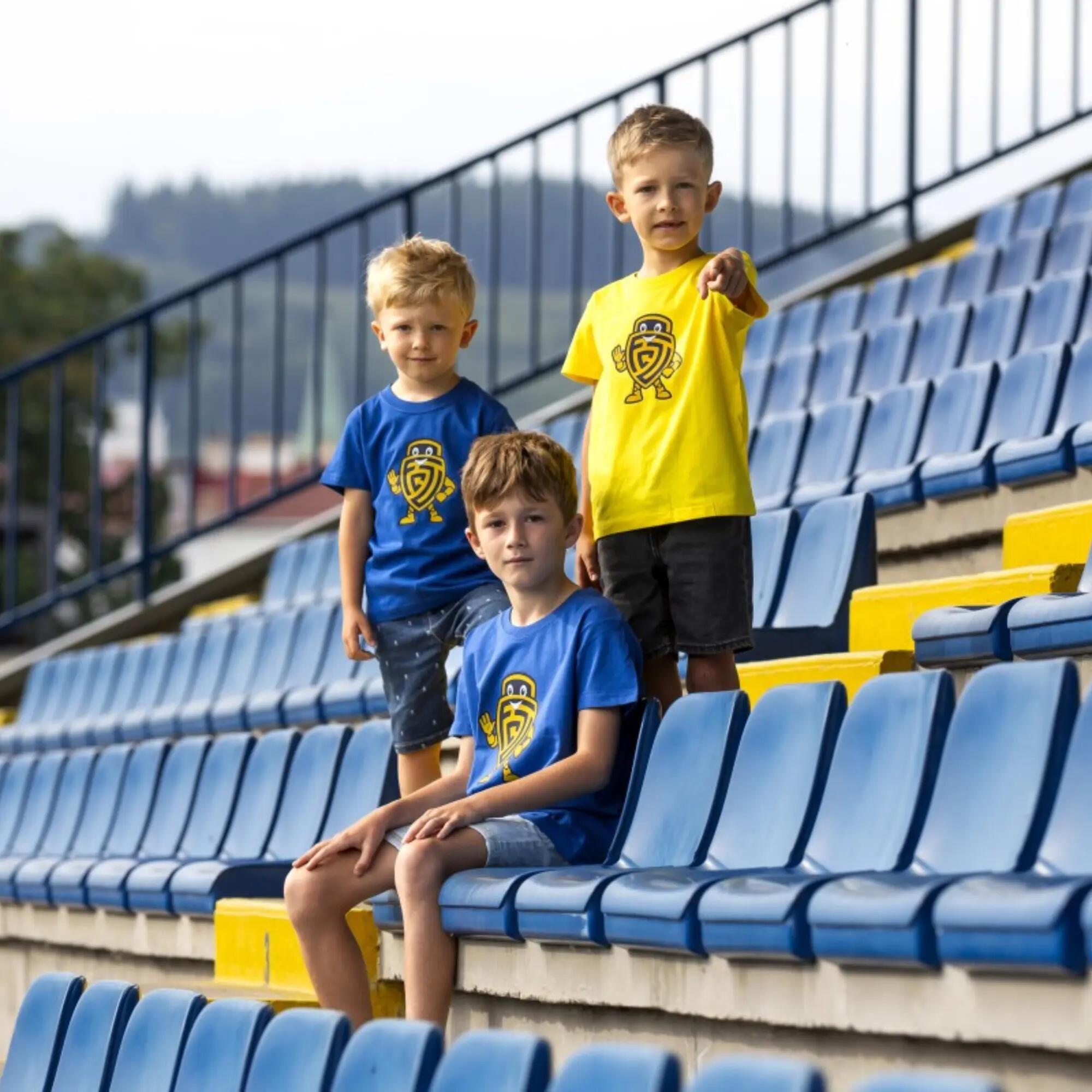 FC ZLIN picture