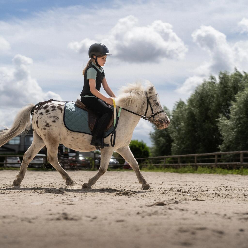 Reiten