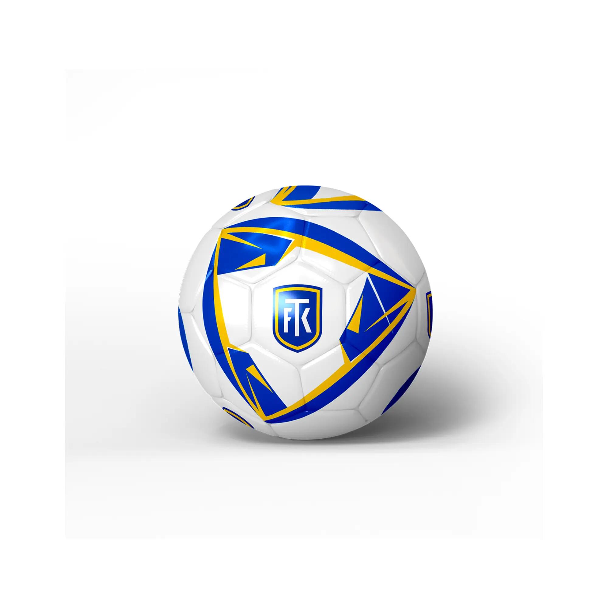 FK TEPLICE picture