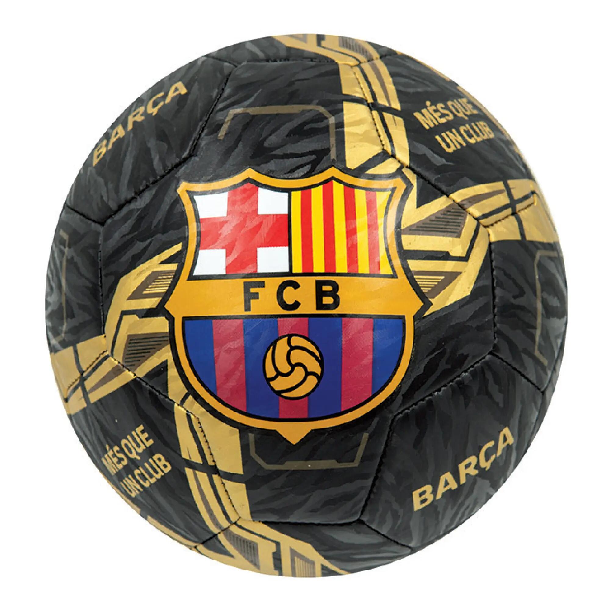 FC BARCELONA picture