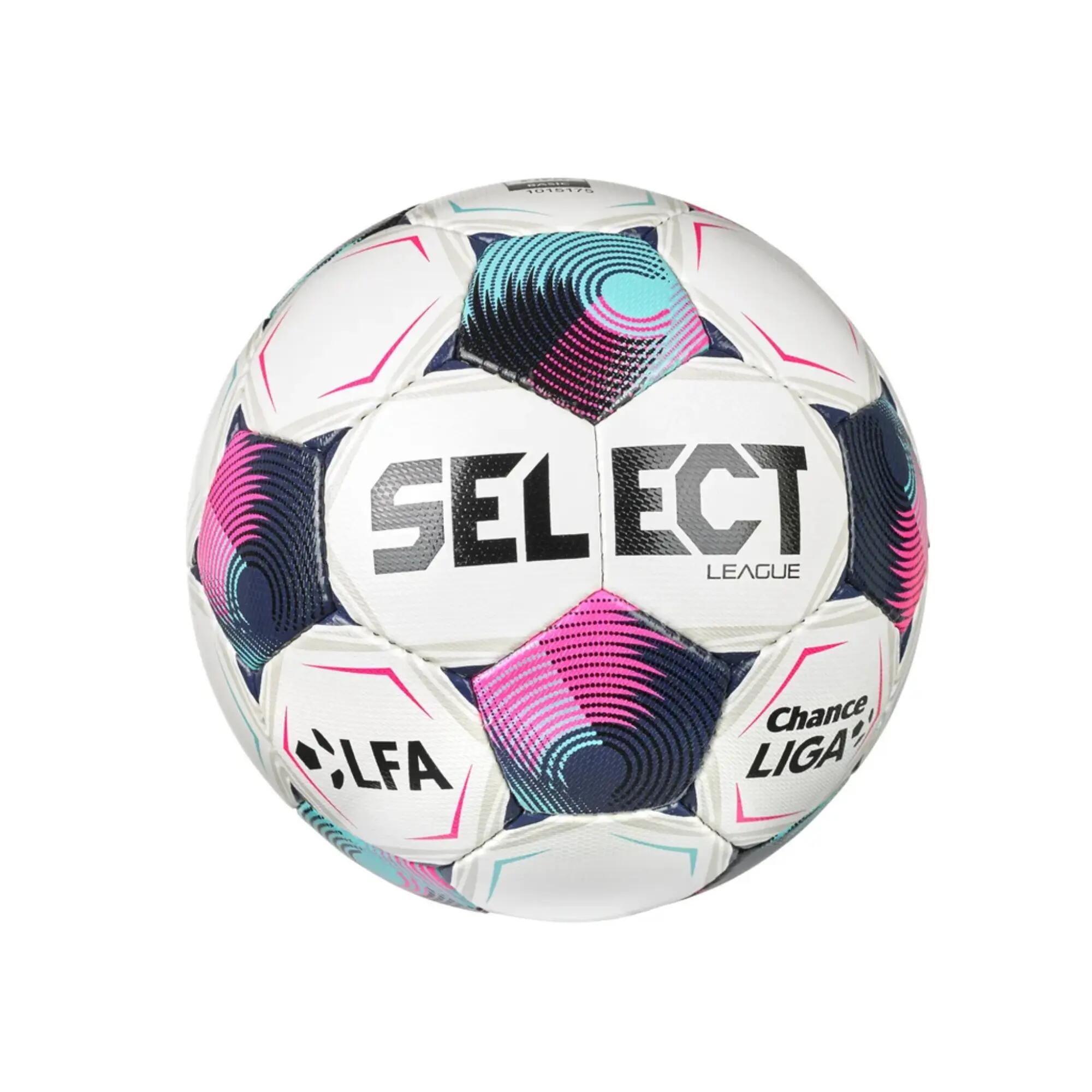 SELECT picture