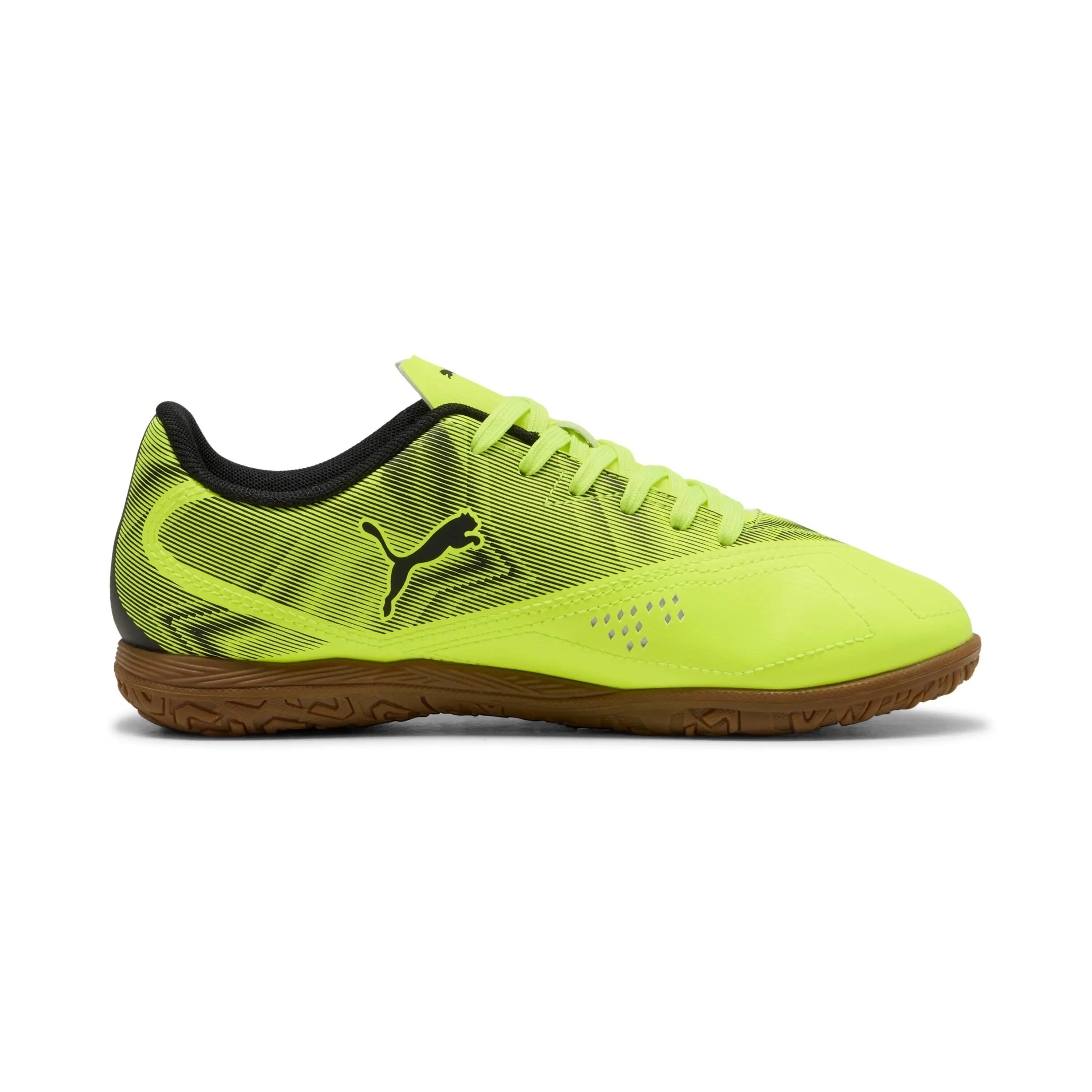 PUMA picture