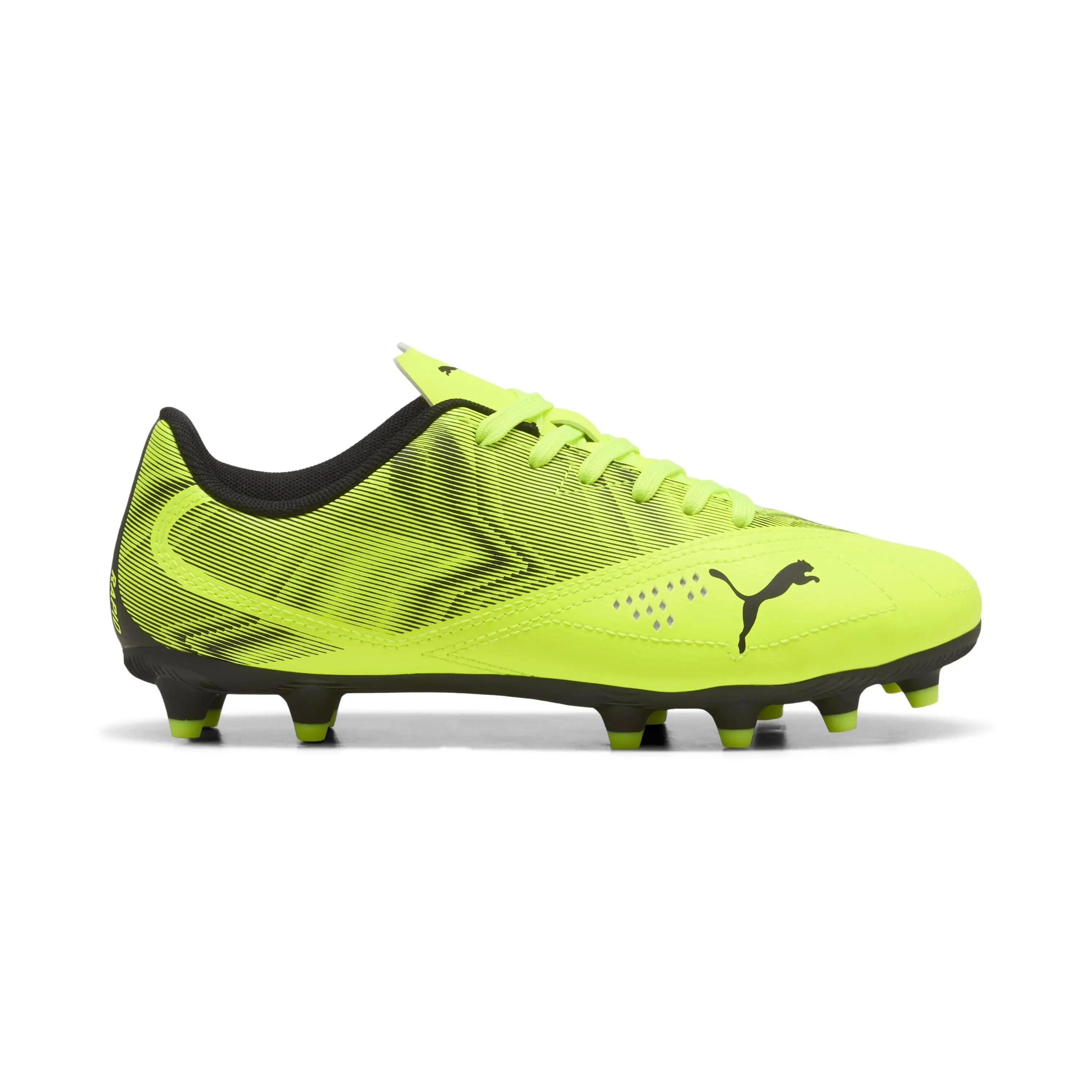 PUMA picture