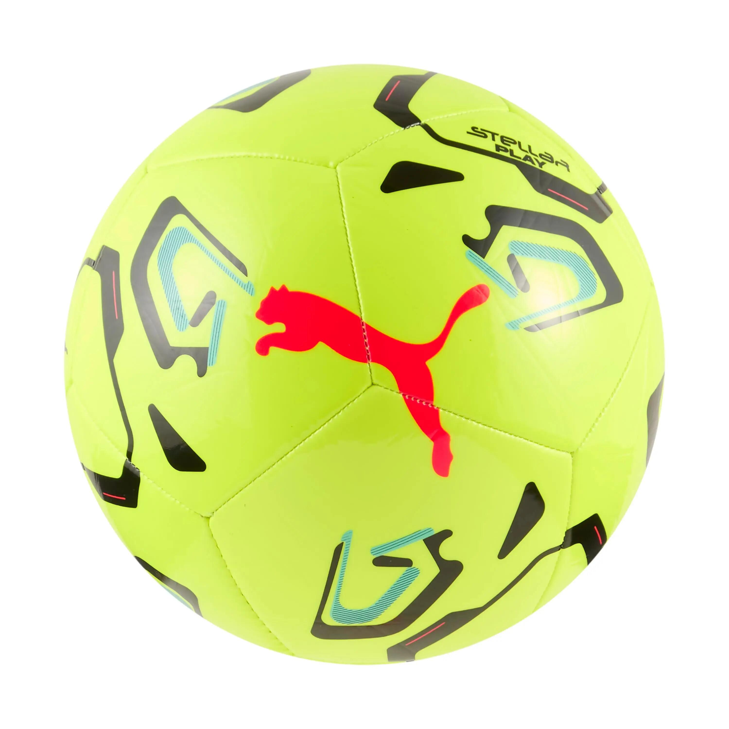 PUMA picture