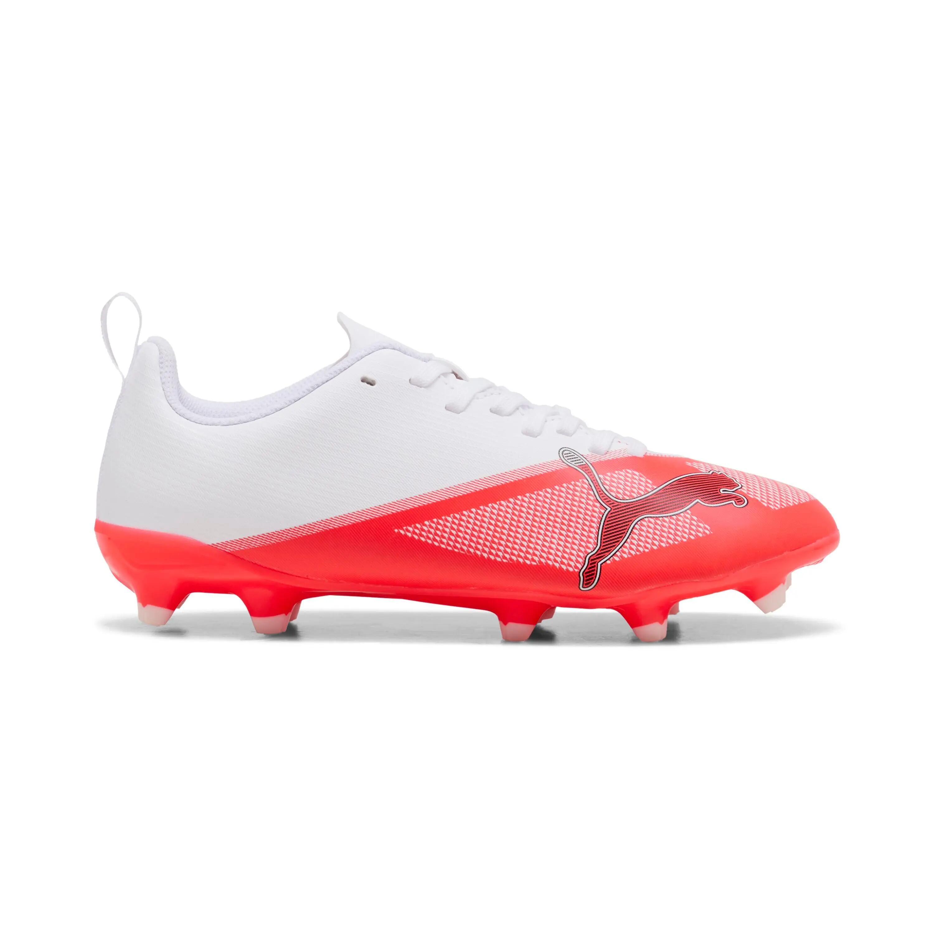 PUMA picture