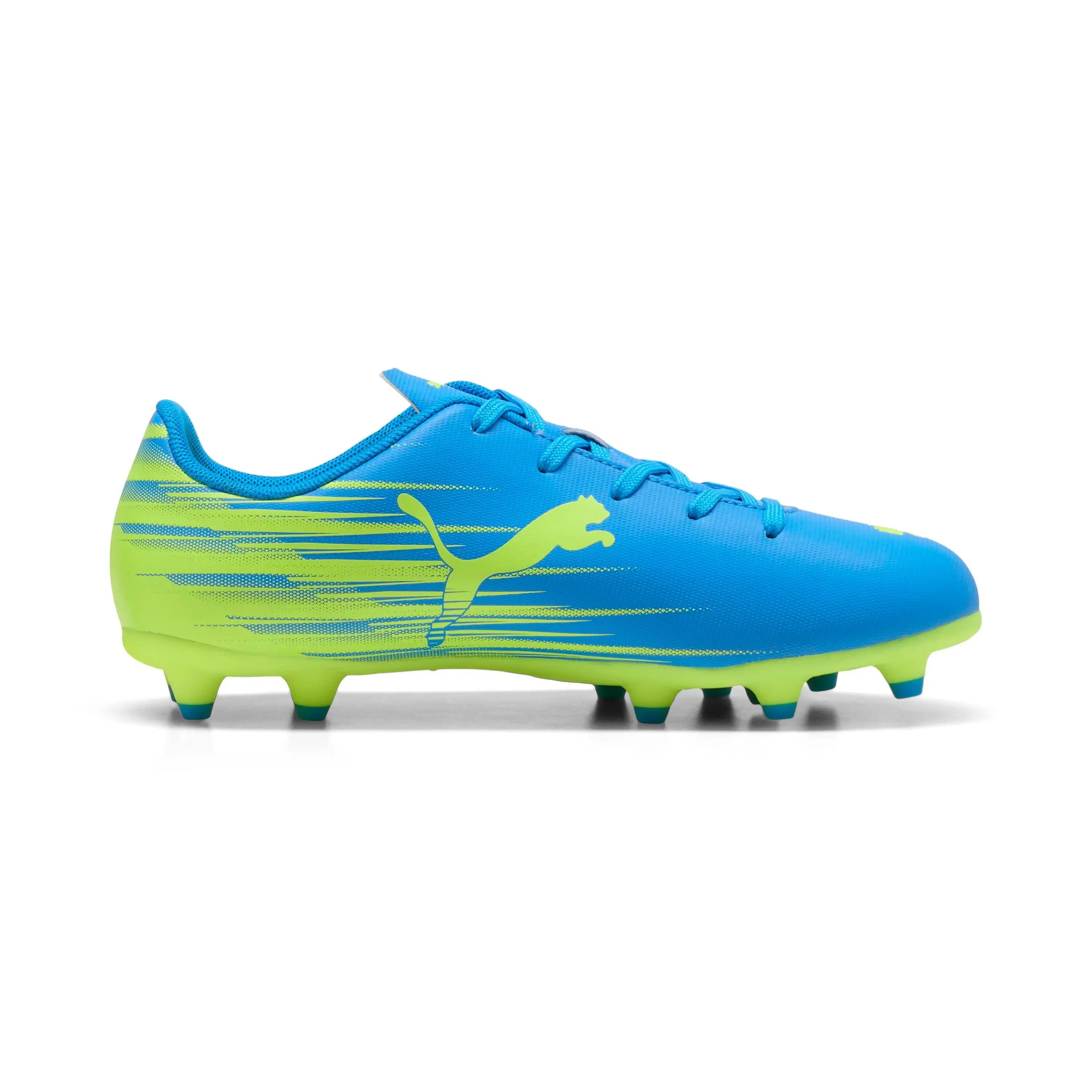 PUMA picture