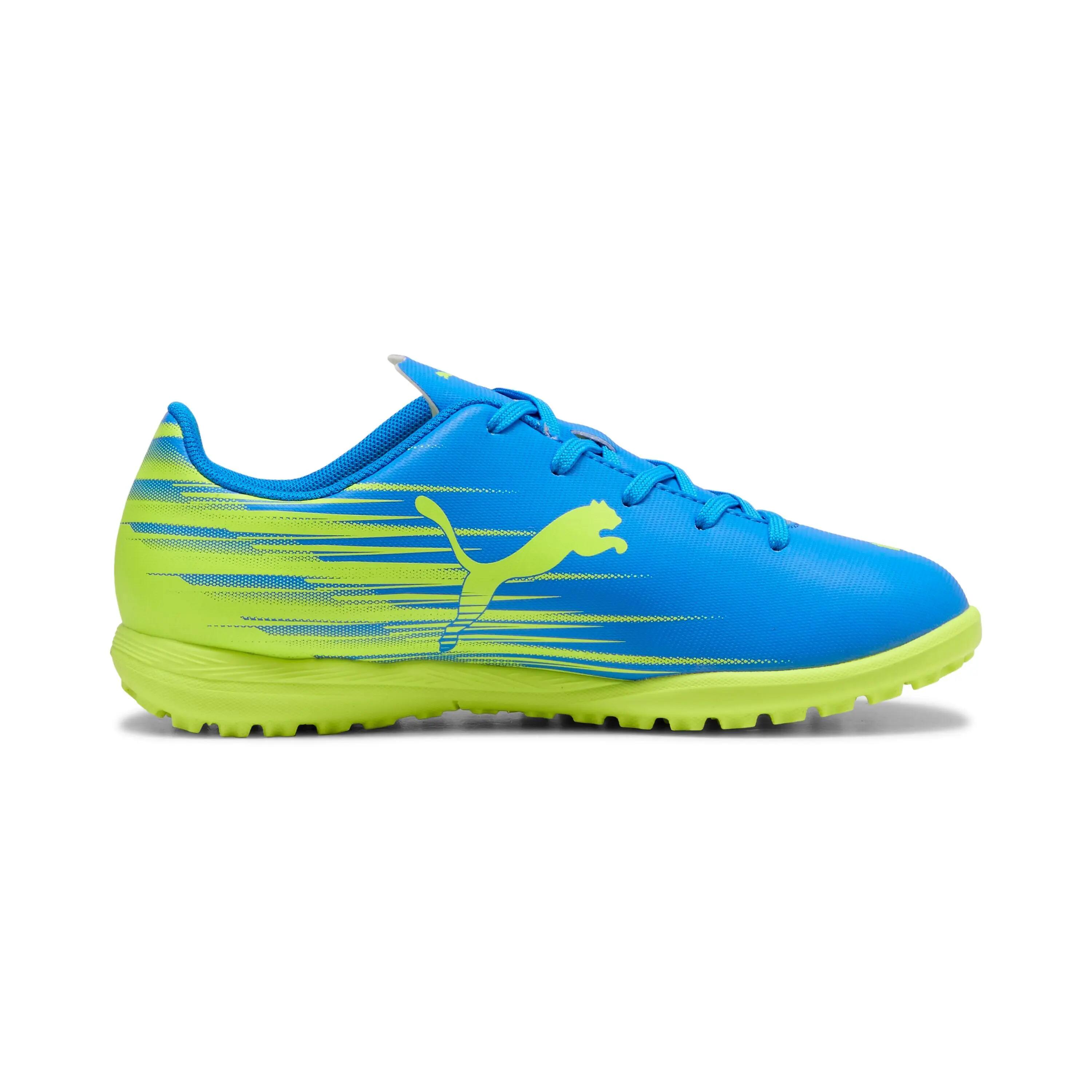 PUMA picture