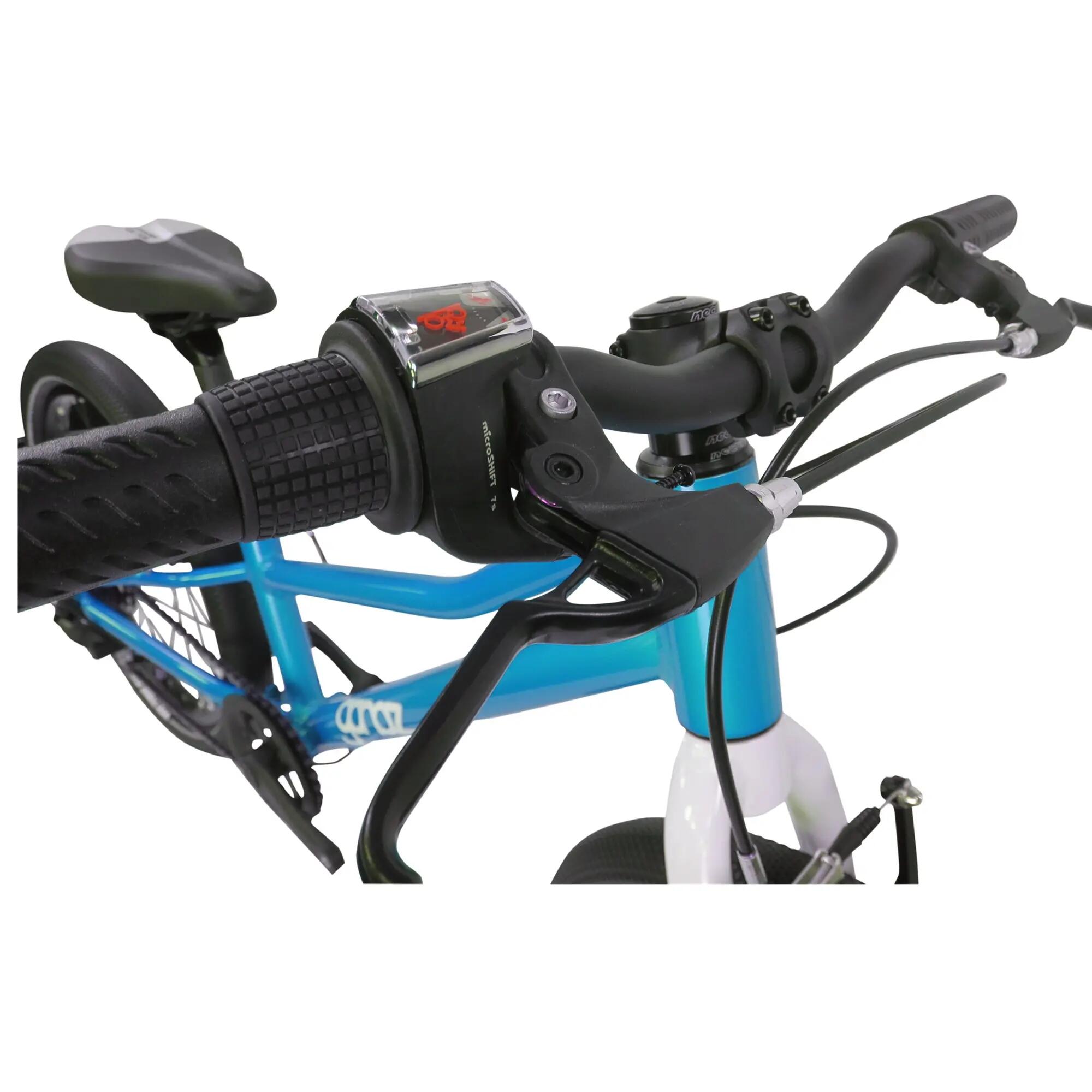 Kinderfahrrad 20 Zoll Ganaz Ultralight blau 3/6