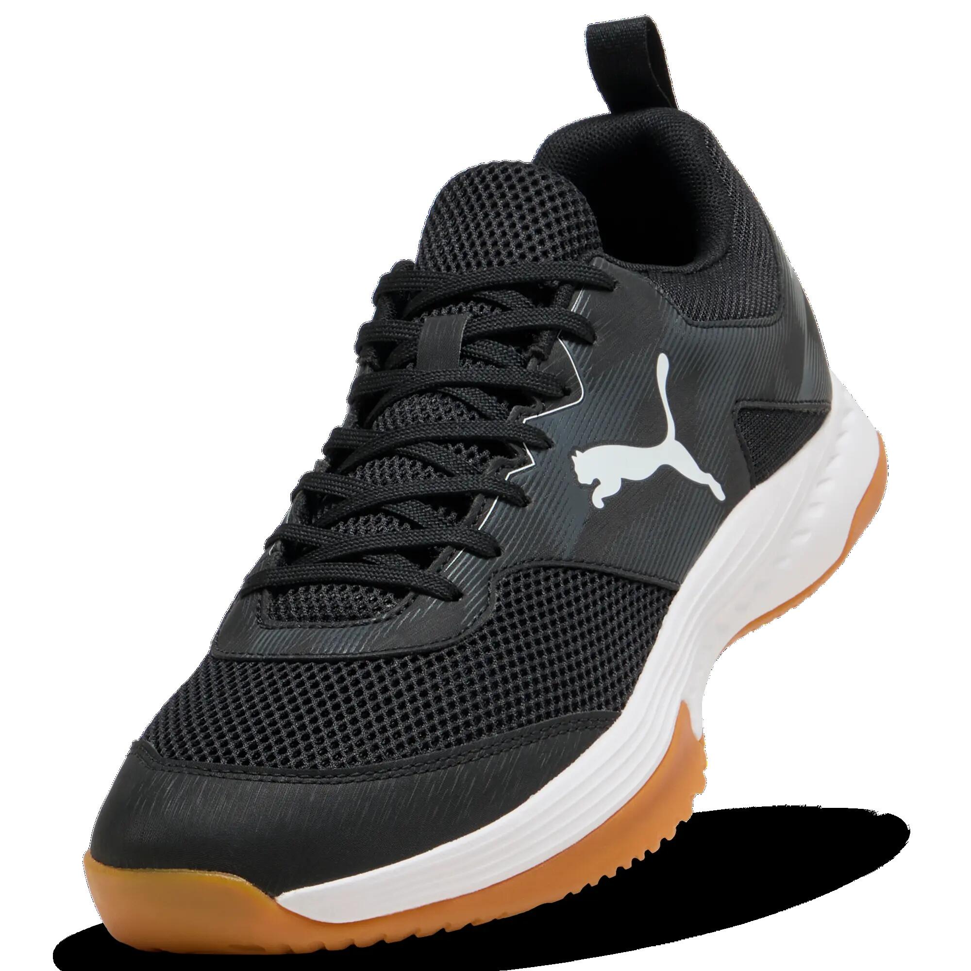 PUMA picture
