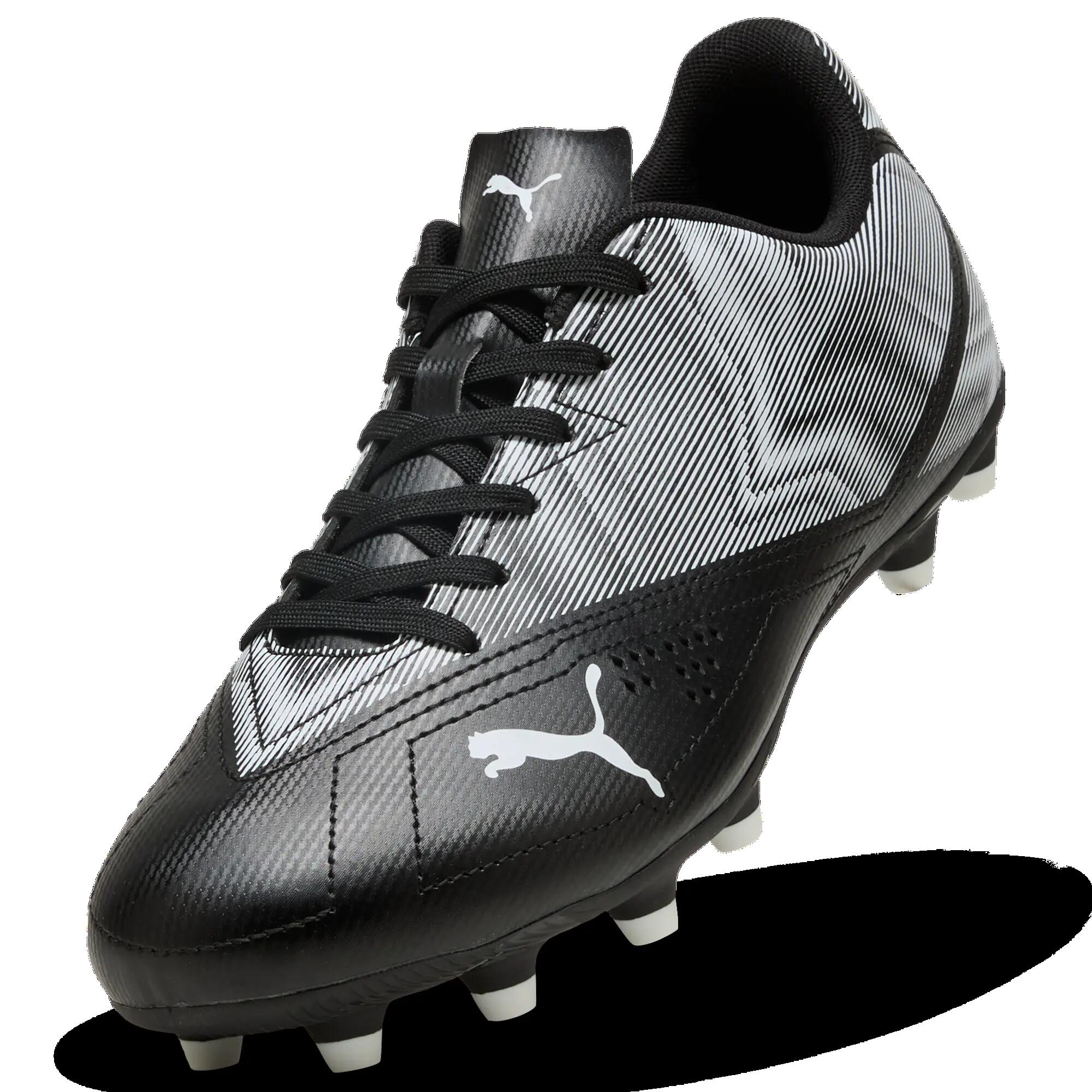 PUMA picture