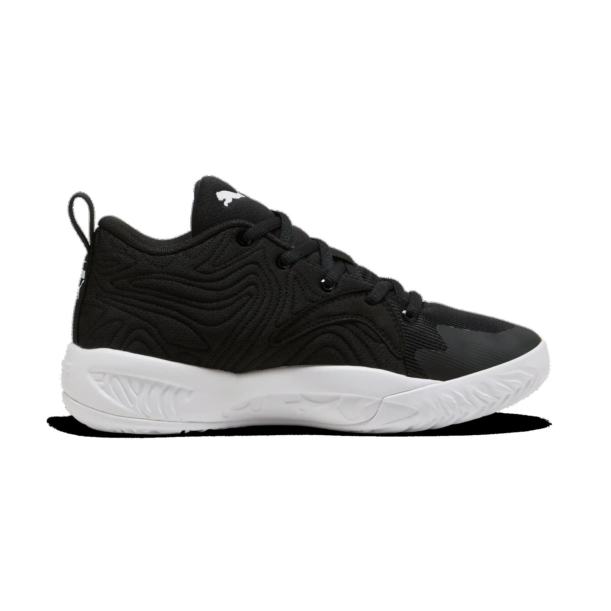 PUMA picture