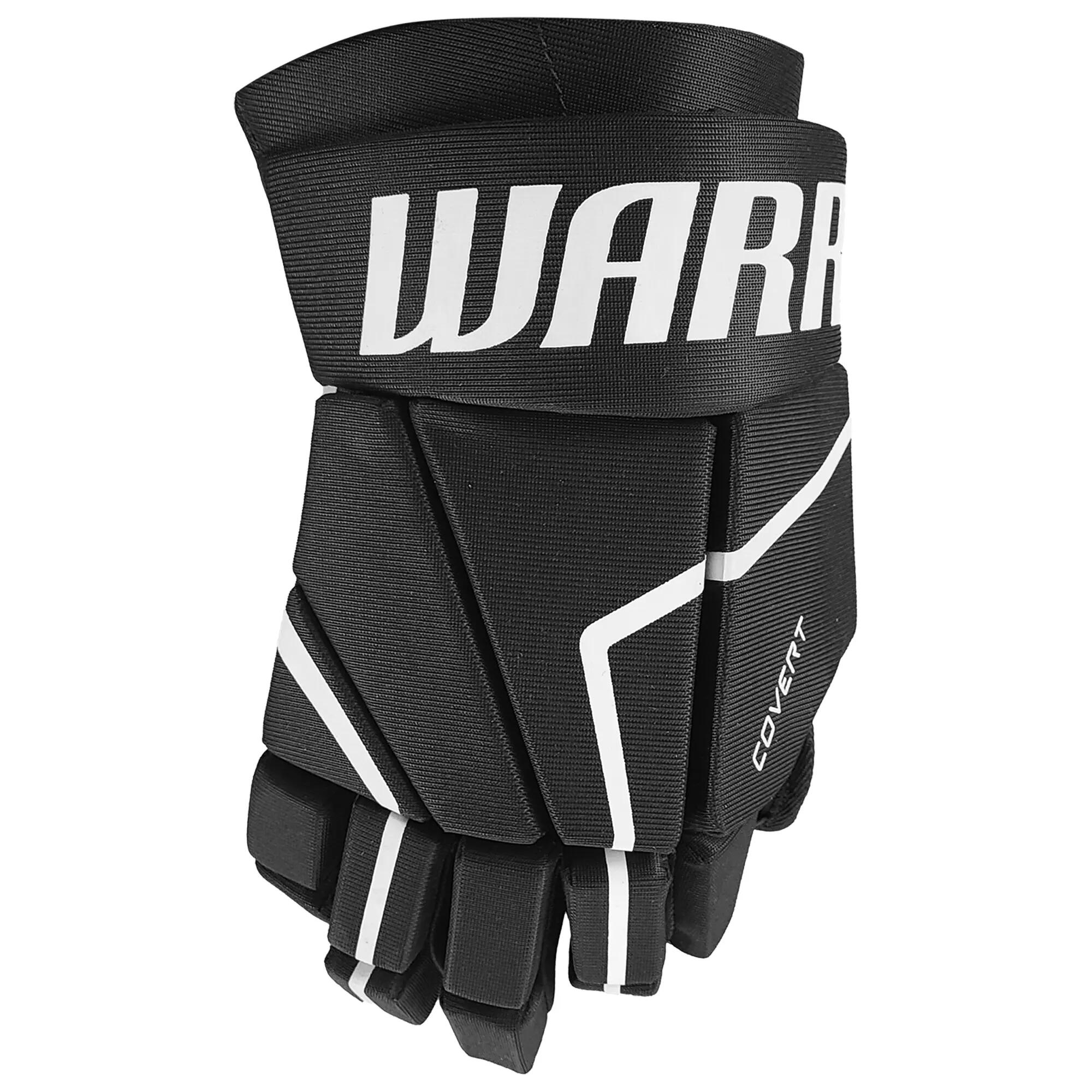 WARRIOR picture