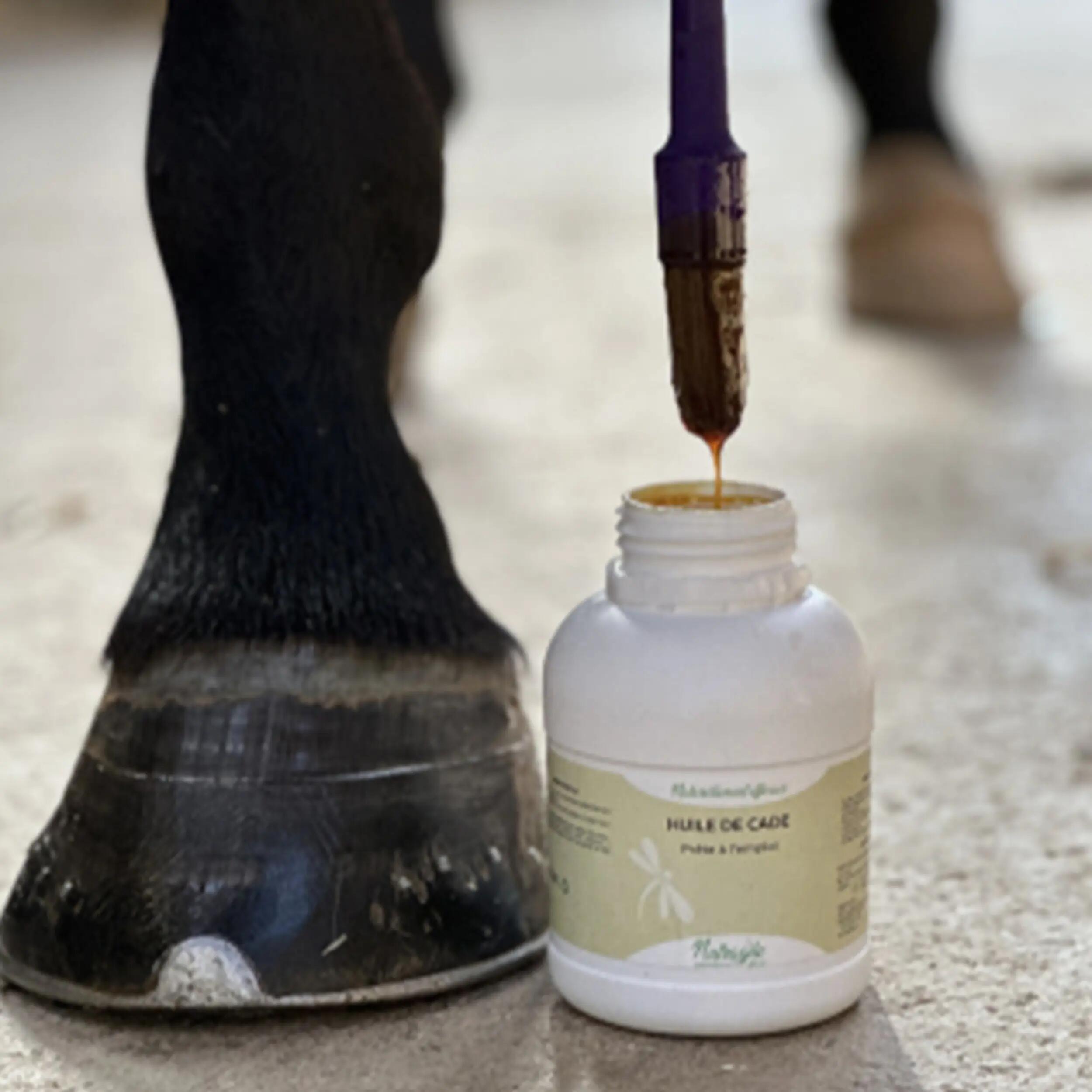 HUILE DE CADE-NUTRAGILE-CHEVAL-500ML 2/2