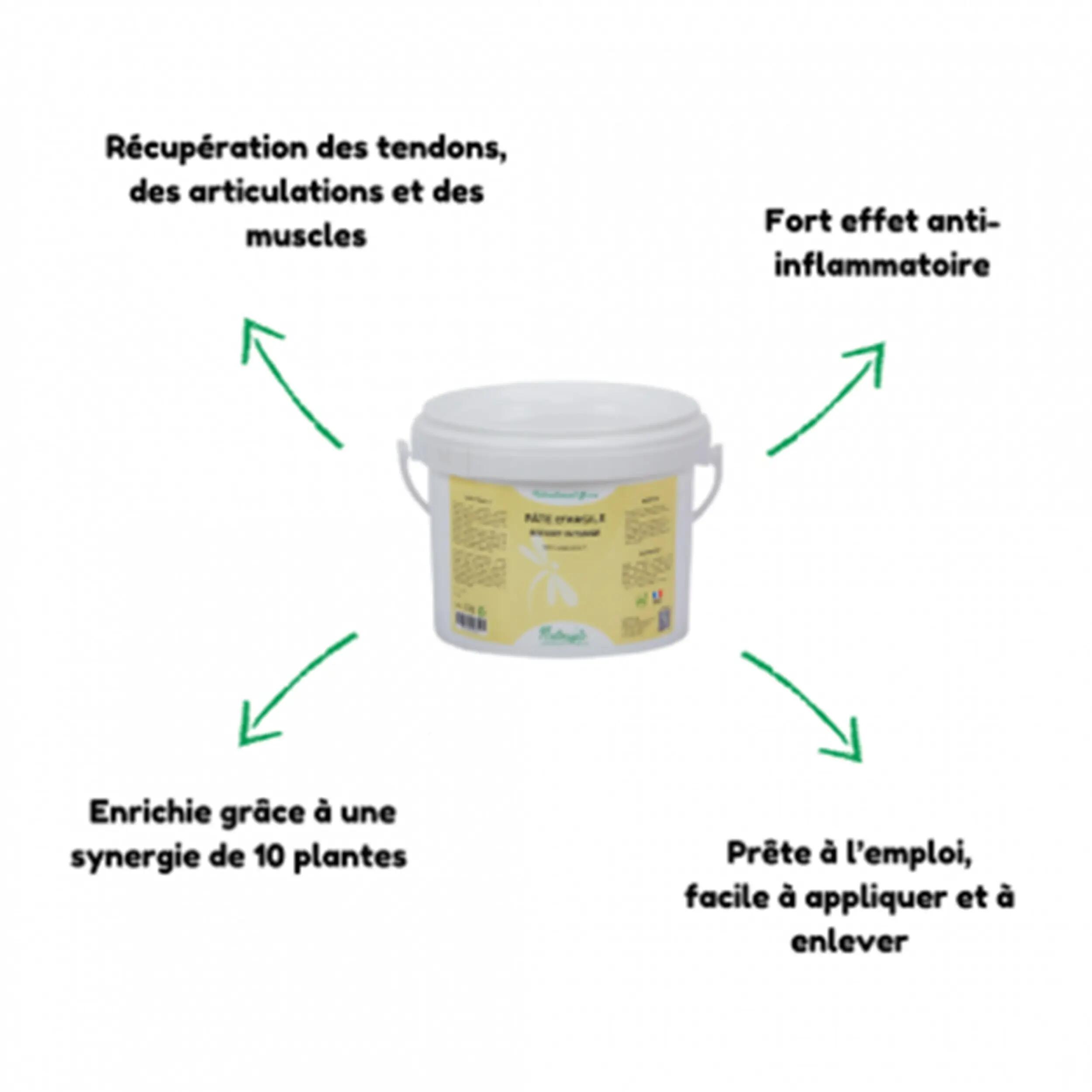ARGILE EFFORT INTENSE - NUTRAGILE -  1.5KG 2/2