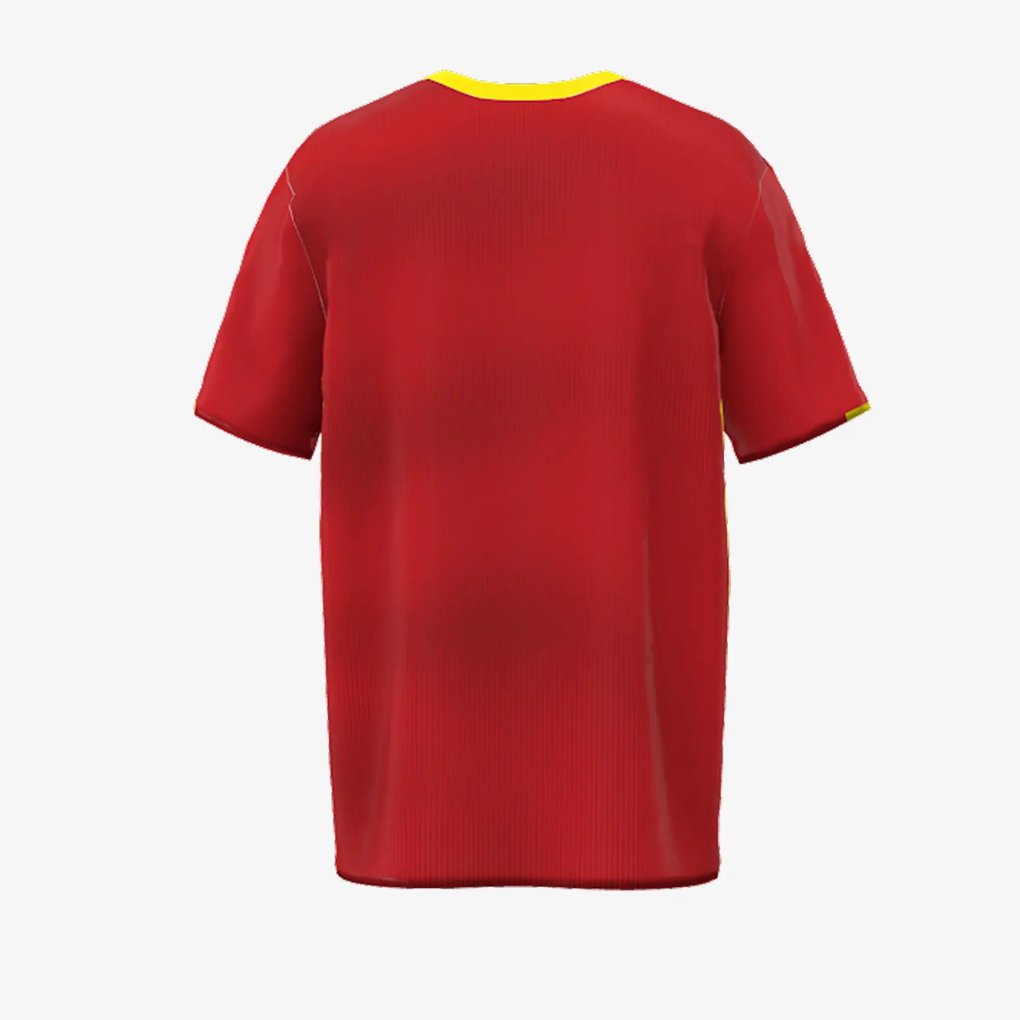Samarreta Espanya Campions 2026 5/5