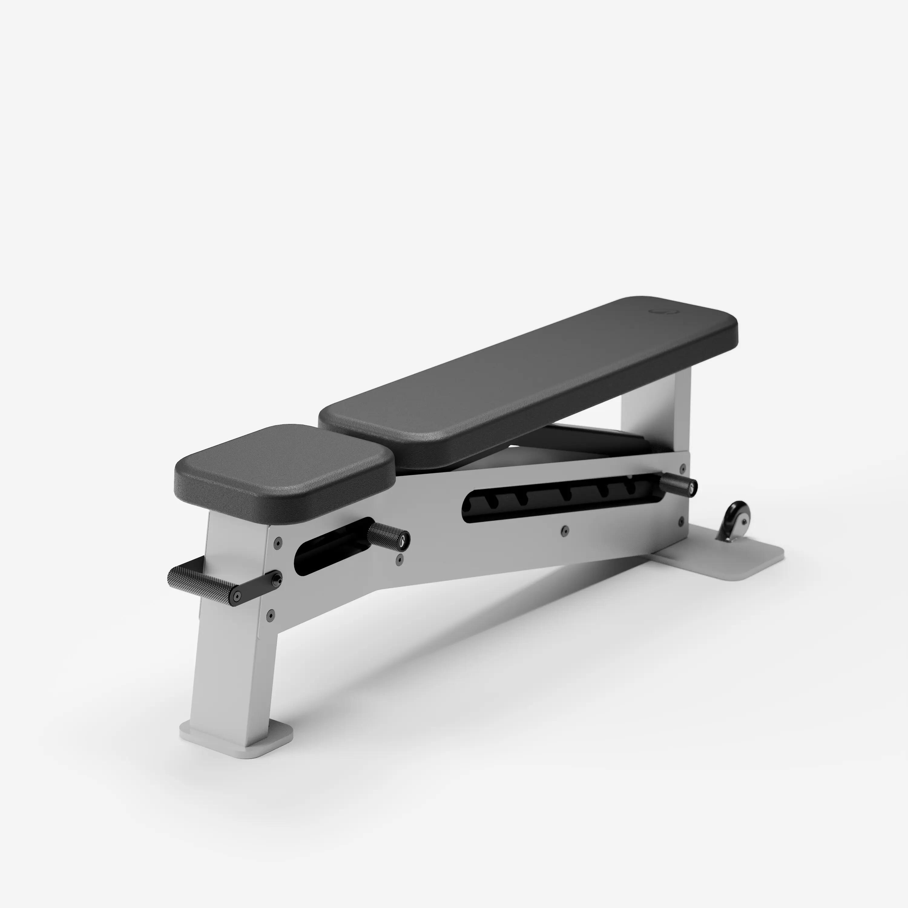 Banco Musculación Pro Inclinable 10/16