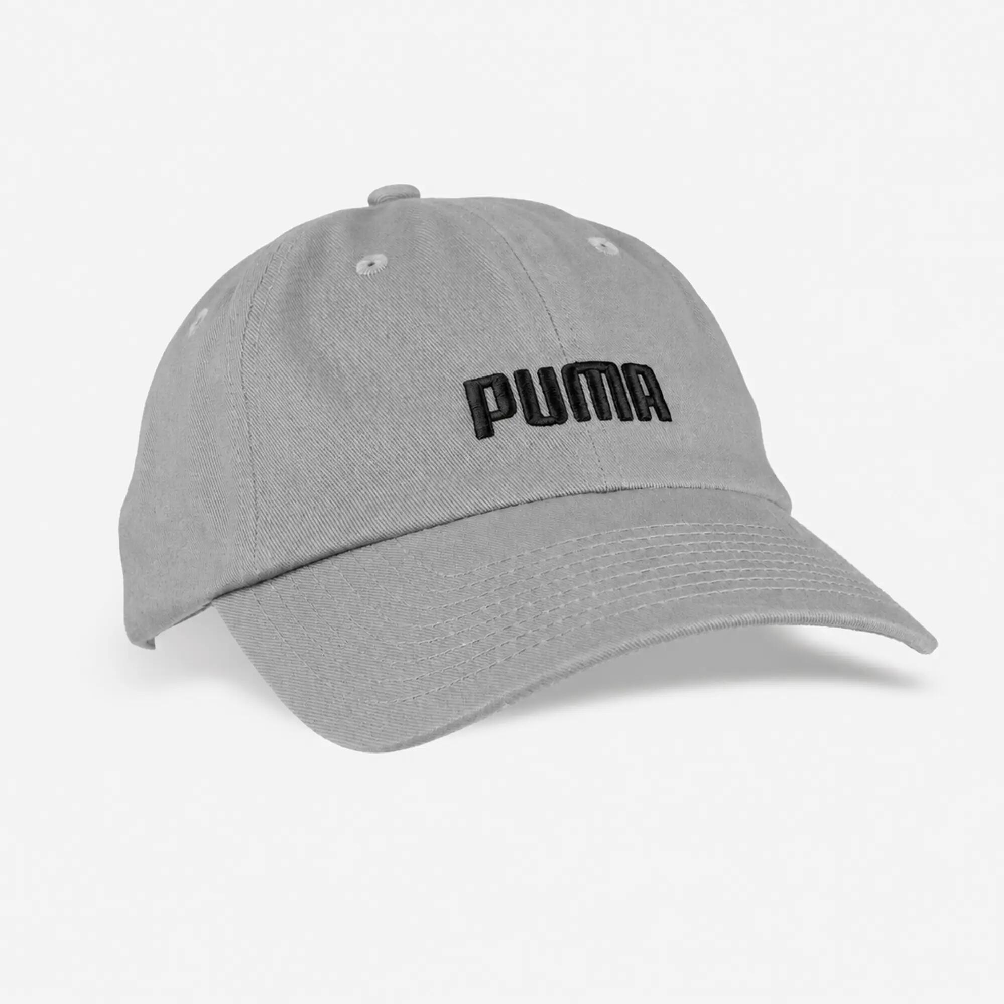 PUMA picture