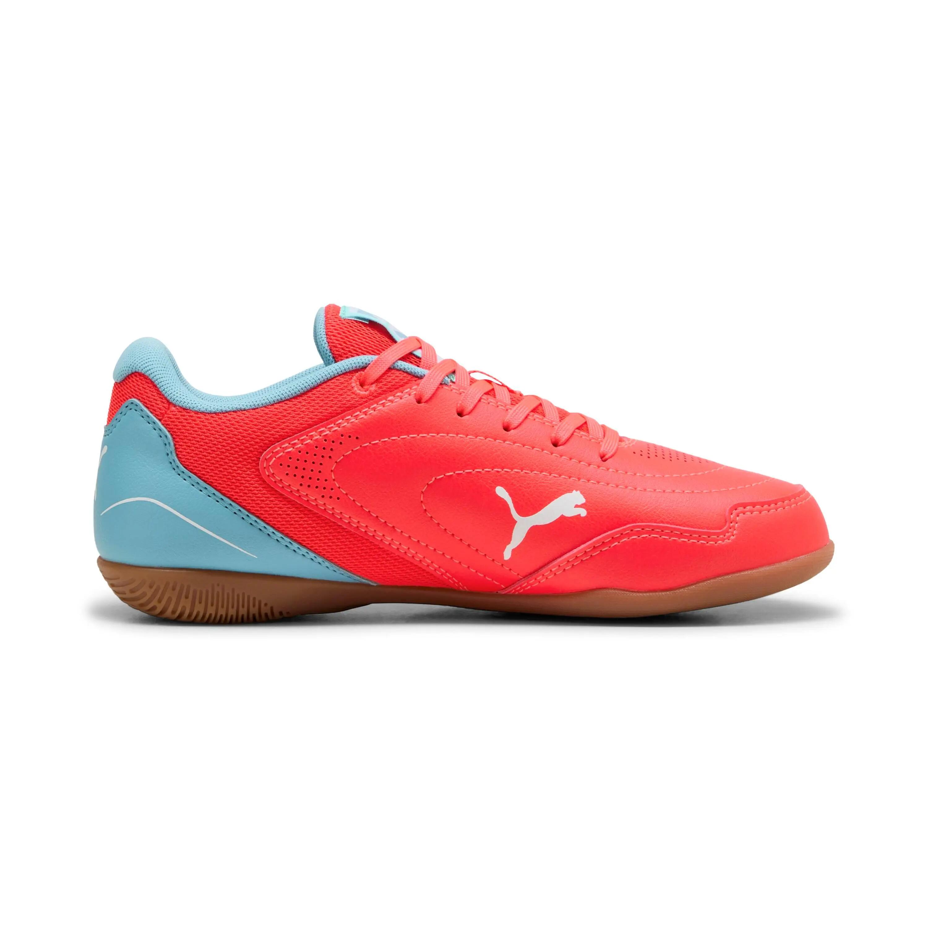 PUMA picture