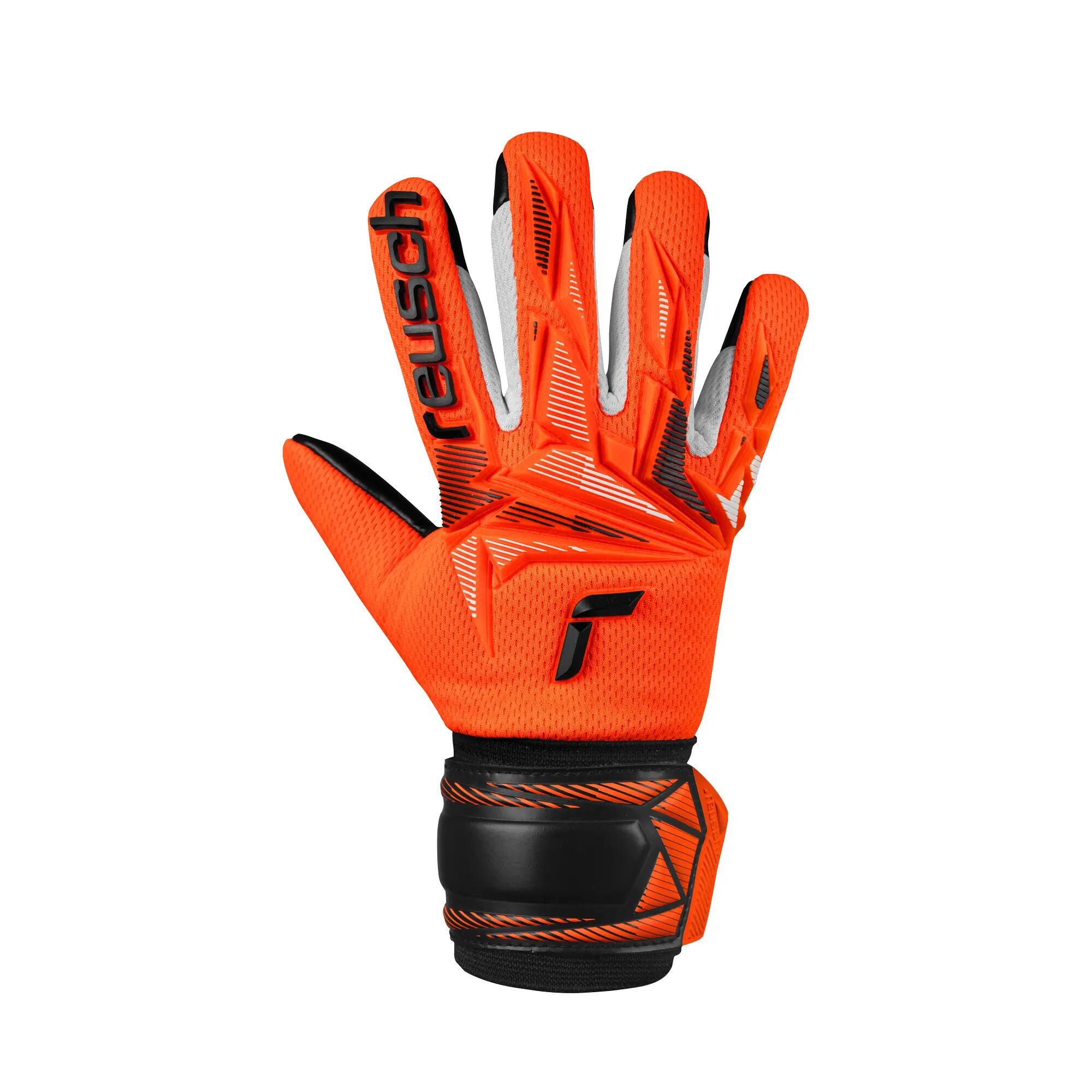 REUSCH picture