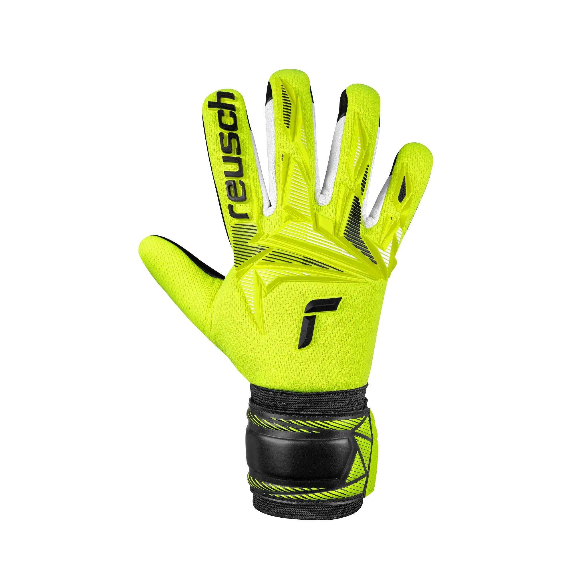 REUSCH picture
