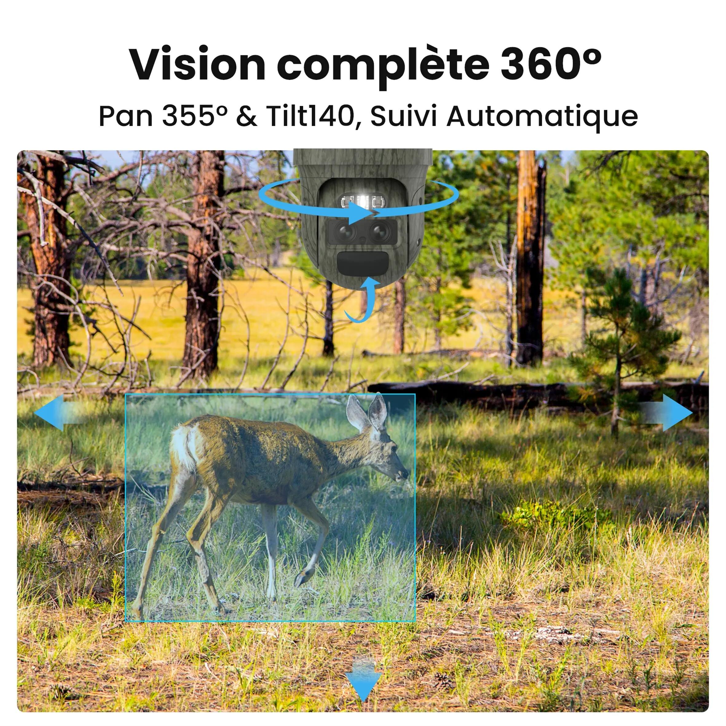 Vadkamera, 360° 4G, napelemes - Reolink G770 11/12