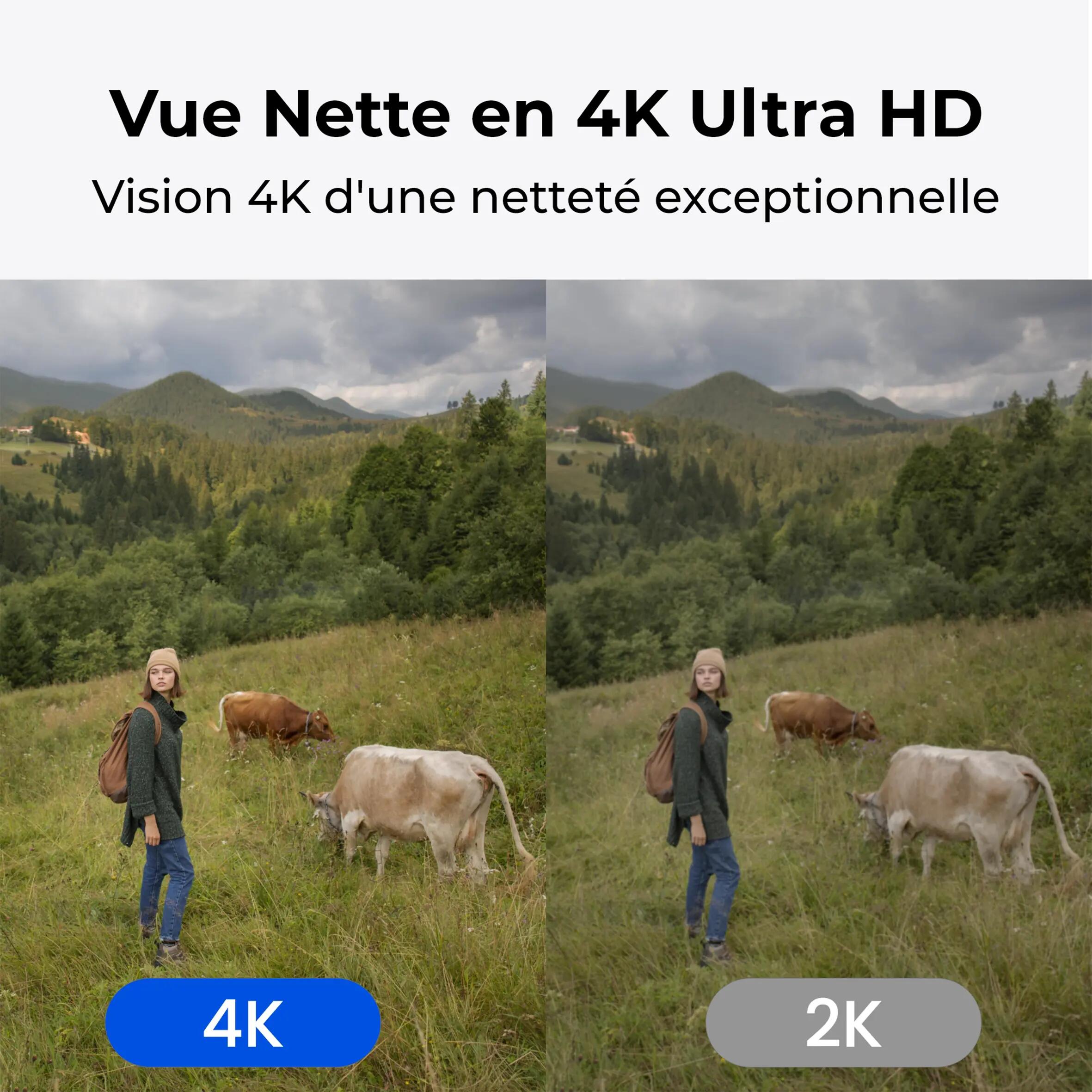Vadkamera, 360° 4G, napelemes - Reolink G770 9/12