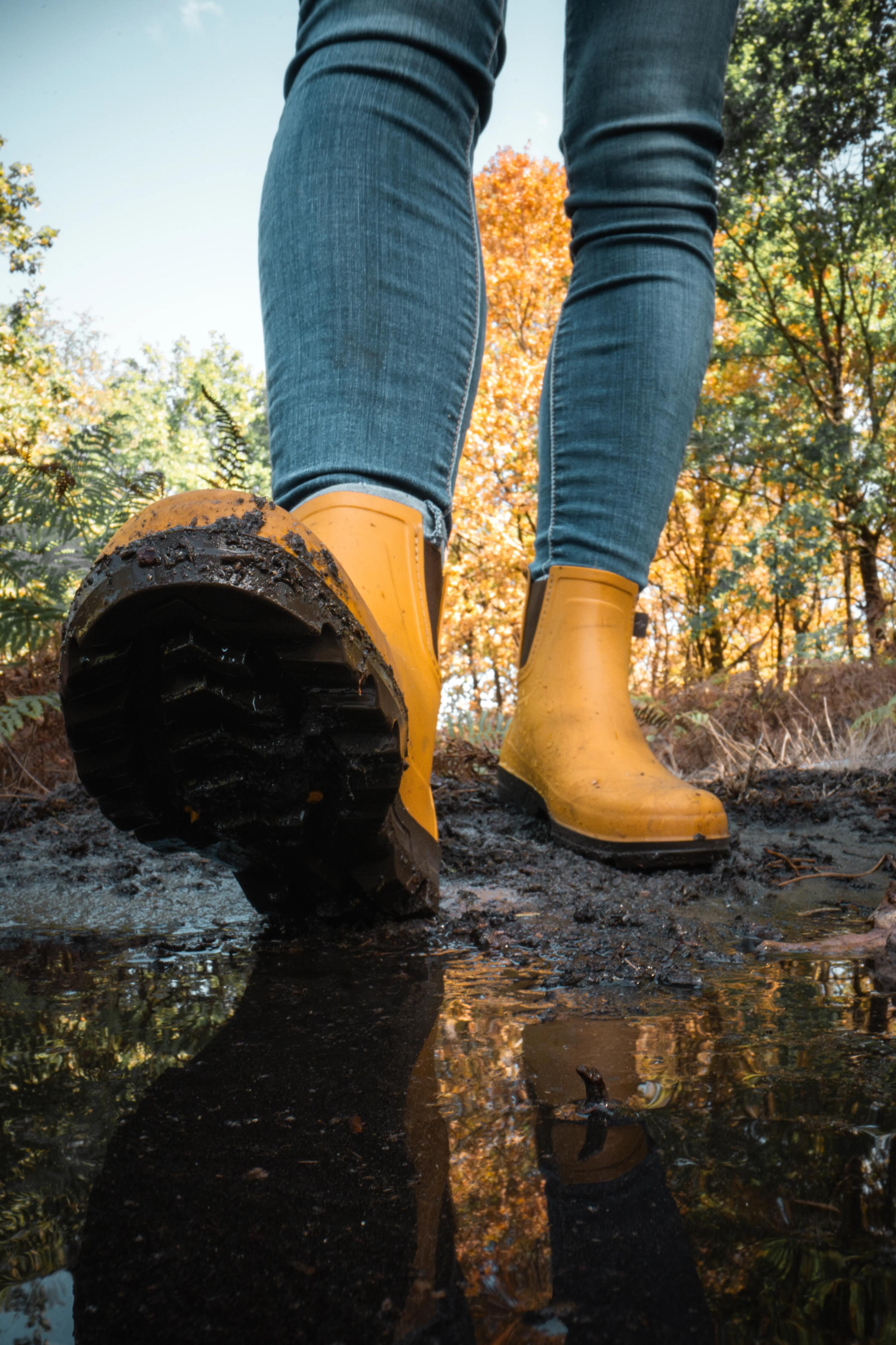 Regenlaarzen voor dames Land 100 pvc oker 8/11