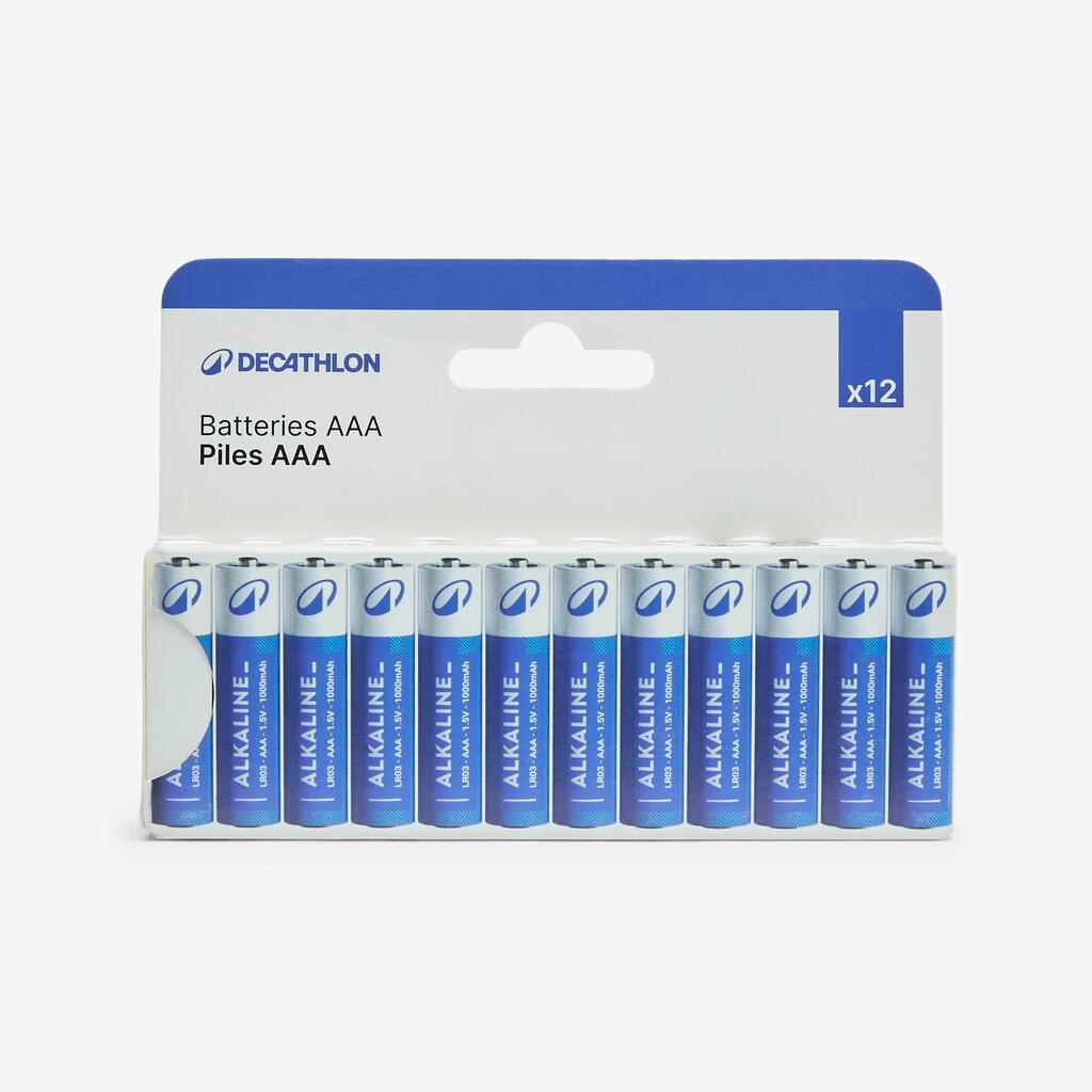 LOT DE 12 PILES ALCALINES LR03 - AAA