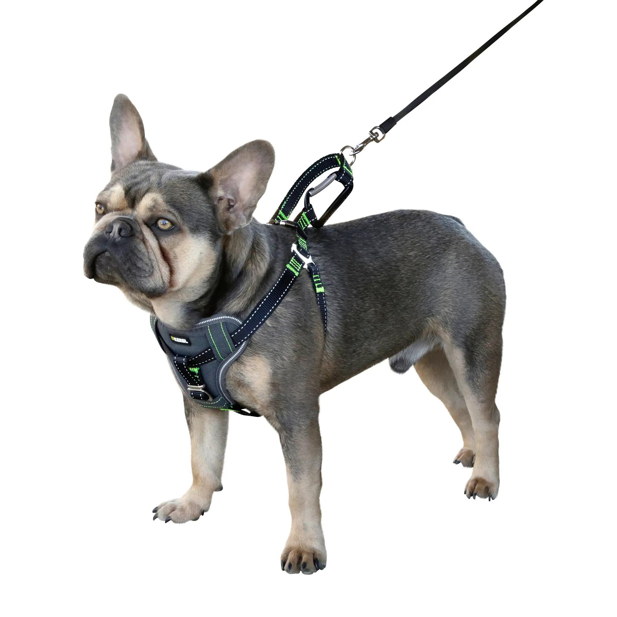 Harnais de sécurité voiture universel pour chien 3/6