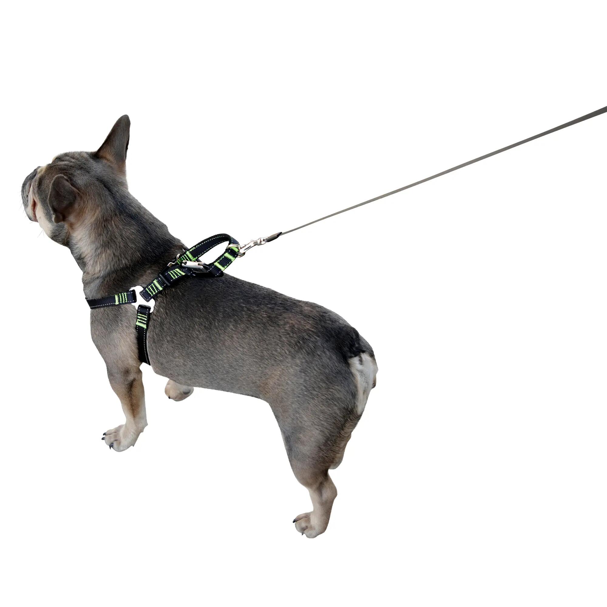 Harnais de sécurité voiture universel pour chien 2/6