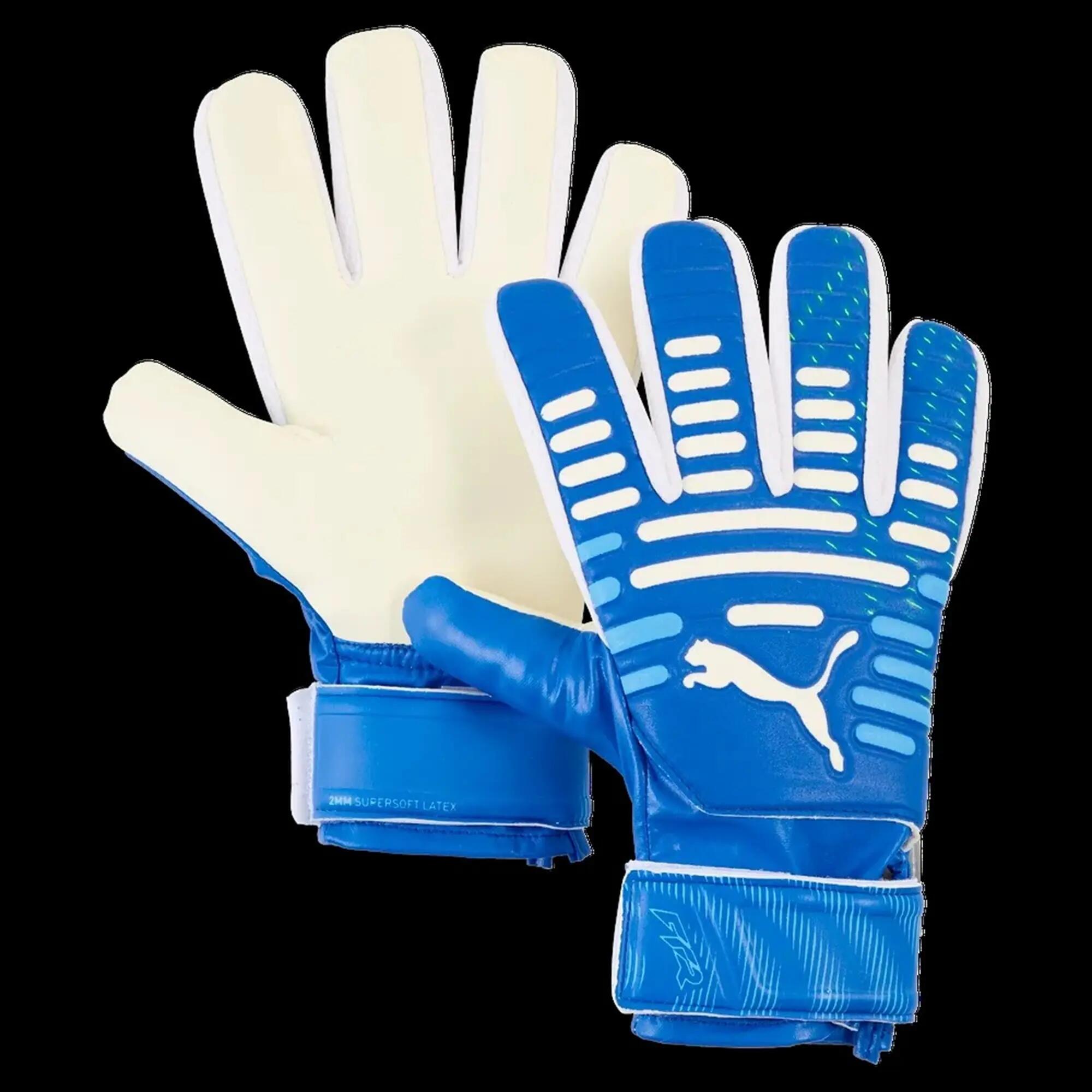 PUMA picture