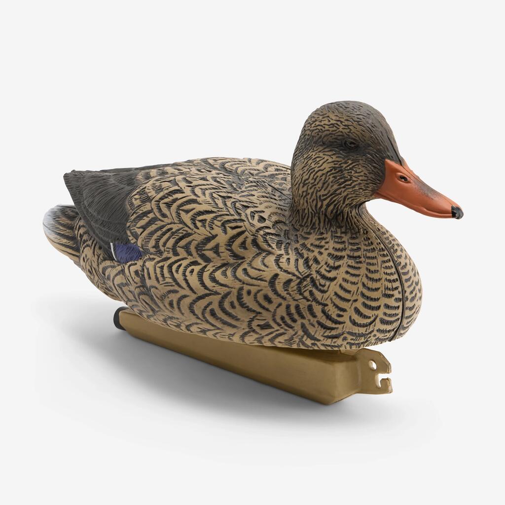 SMILŠKRĀSA / MELNA / ORANŽA
