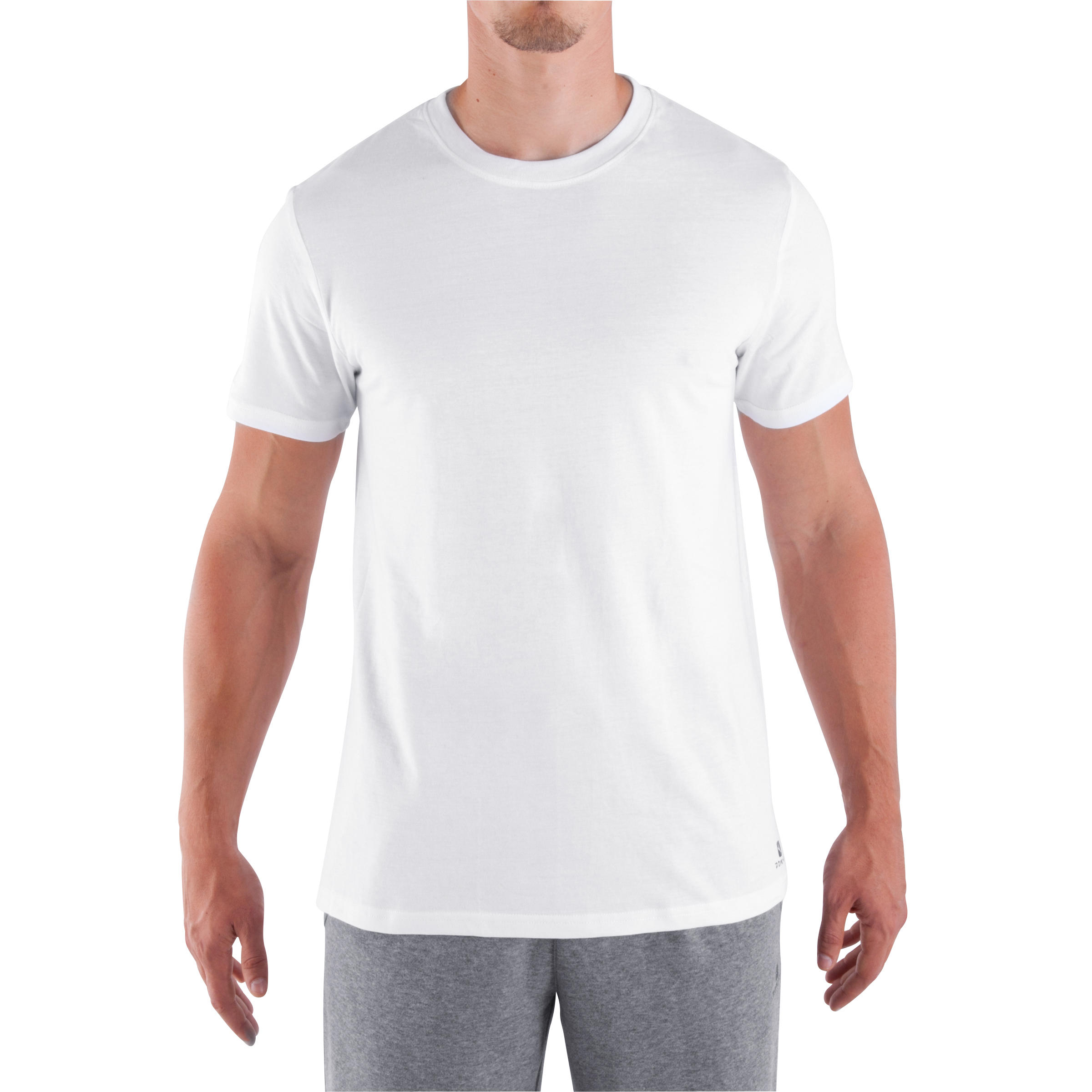 Gym T-Shirt Regular Fit Sportee 100 