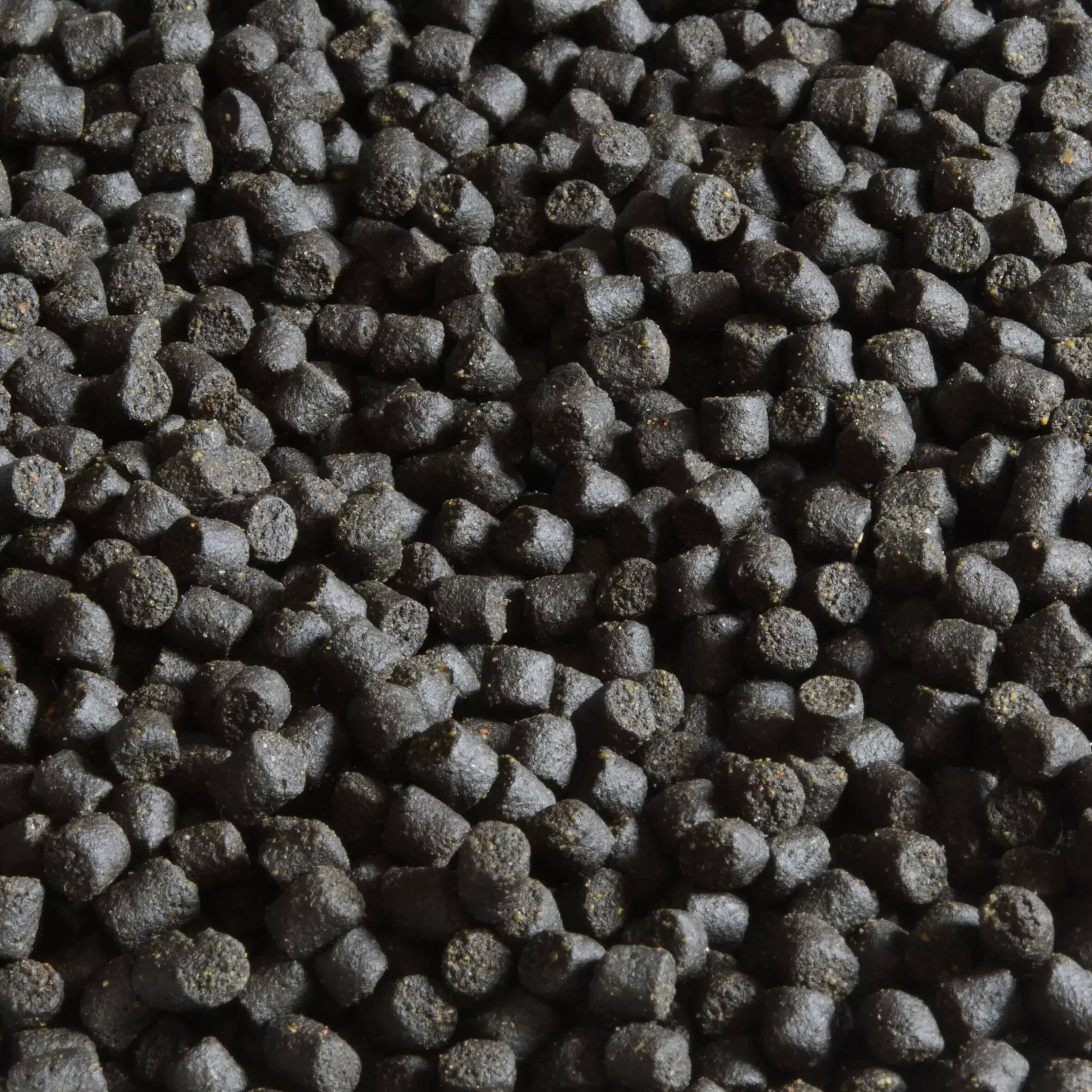 Comment choisir ses pellets pour la pêche de la carpe au coup?