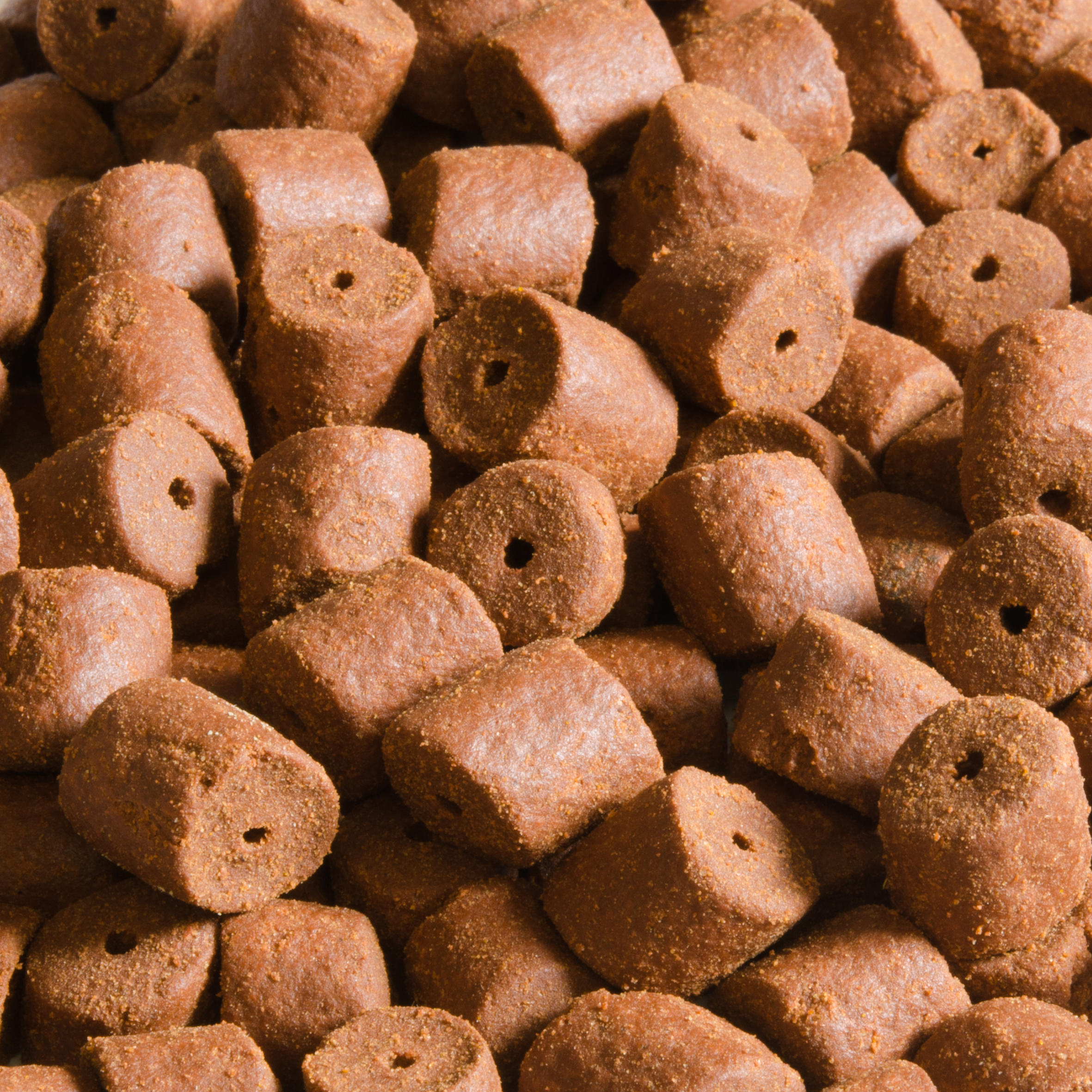 100 Bandas Elásticas Extragrandes Para Pellets De Pesca - 100 Micras, Tamaño XL, Envío Gratis