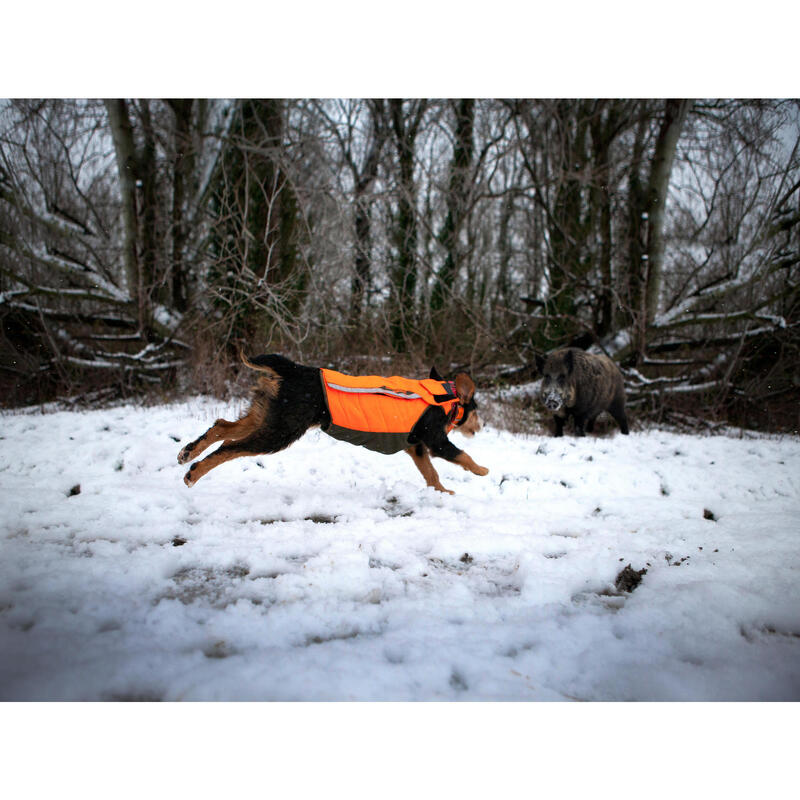 Gilet chien Supertrack 500 orange fluorescent
