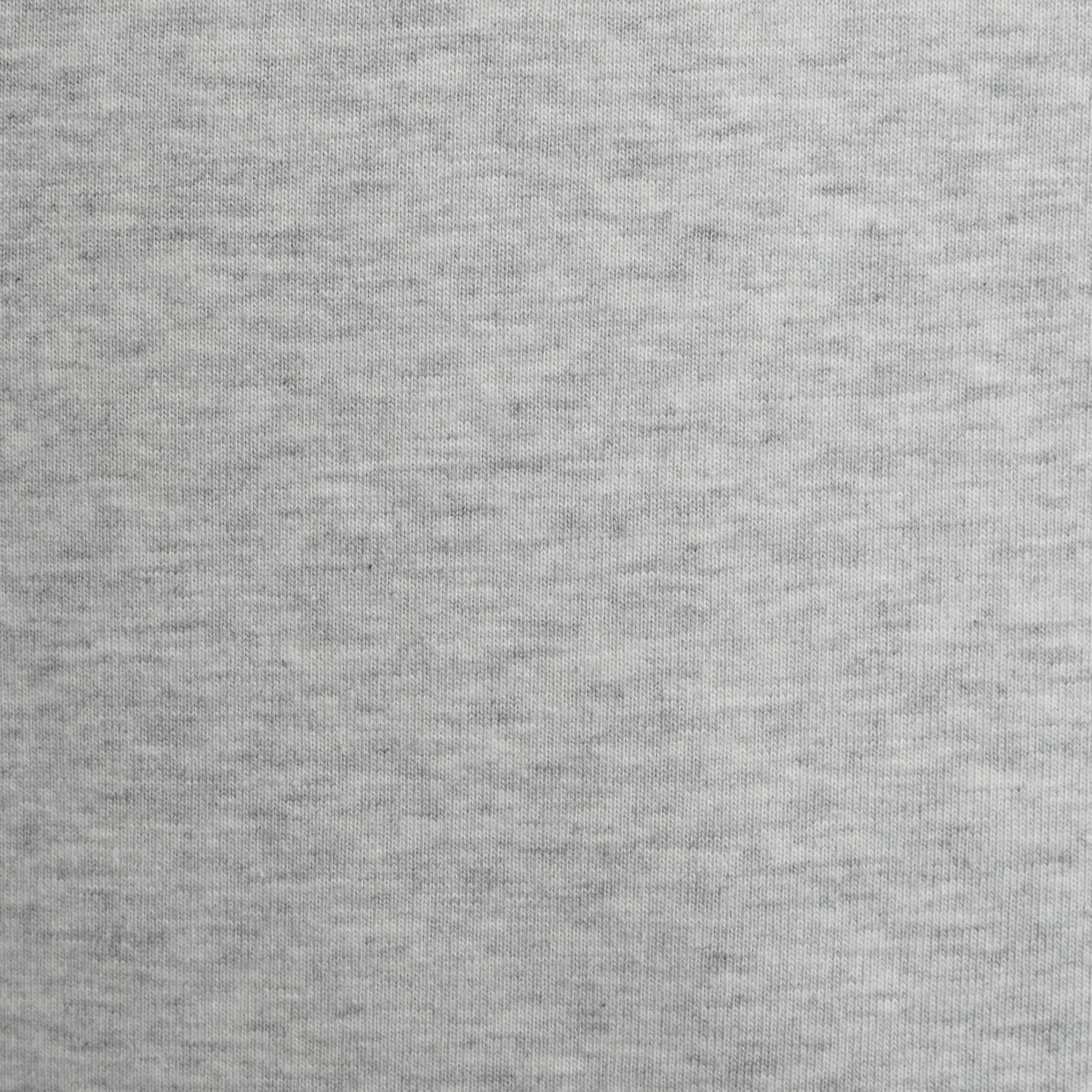 DRY SKIN BODYBUILDING REGULAR FIT T-SHIRT - PRINT - LIGHT GREY 10/11