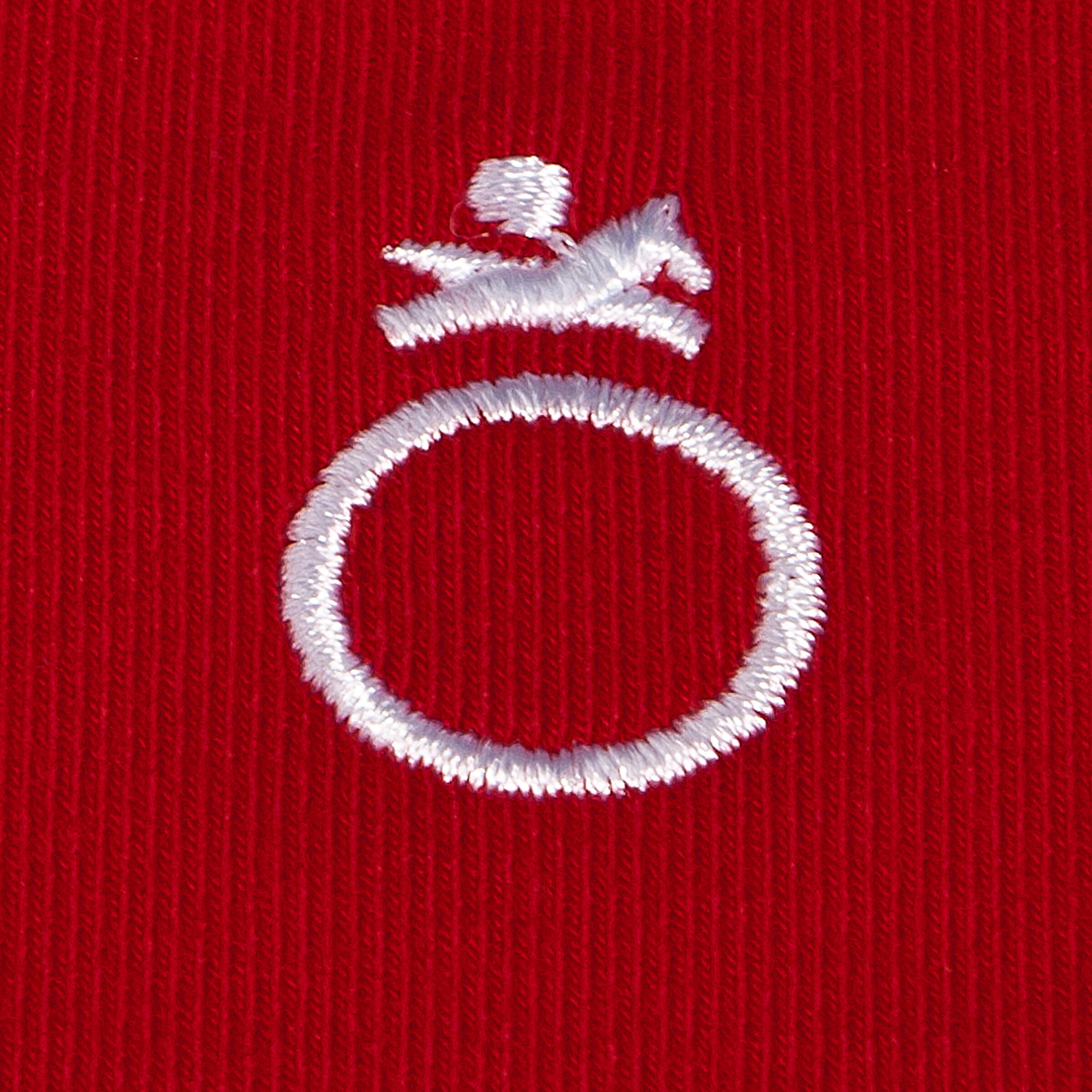 Blason Long-Sleeved Horse Riding Polo - Red 10/16