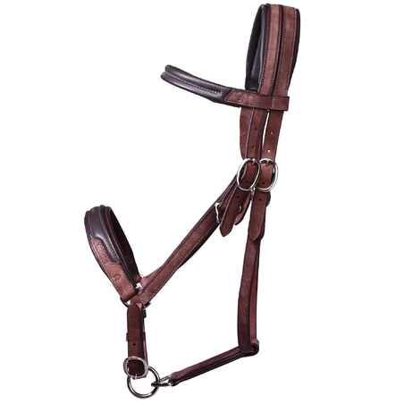 Trail Horse Riding Bridle / Halter and Reins Escape - Brown