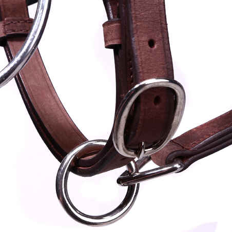 Escape horseback riding Hacking Bridle/Halter and Reins - Brown